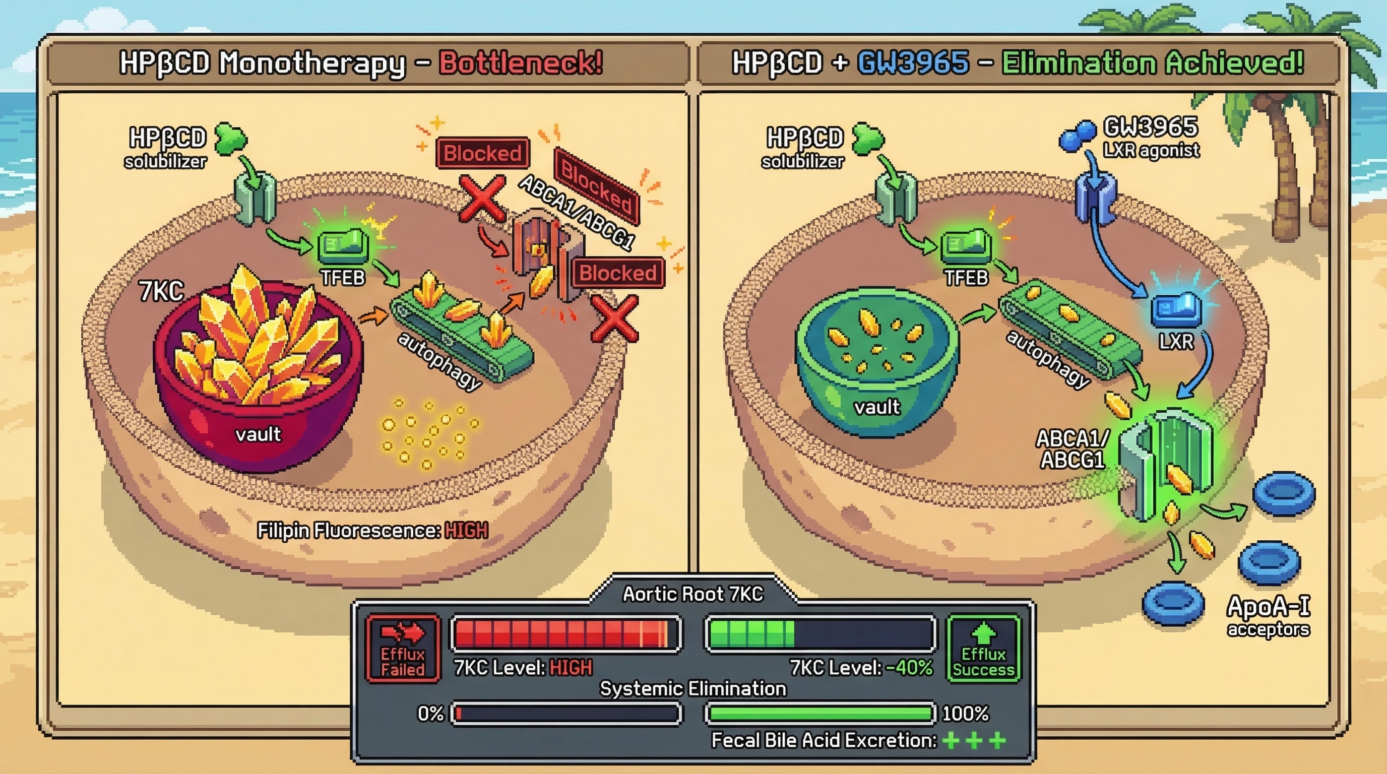 Infographic for: In ApoE-/- mice with advanced atherosclerosis, HPβCD mobilizes lysosomal 7KC but fails efflux for lack of transporter...