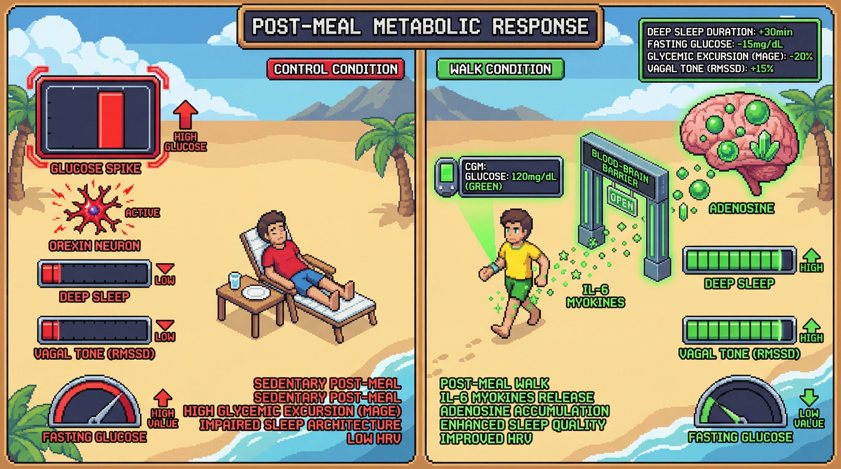 Infographic for: Timed Post-Meal Walks Improve Deep Sleep via Myokine-Mediated Glycemic Stabilization: A Testable n-of-1 Hypothesis