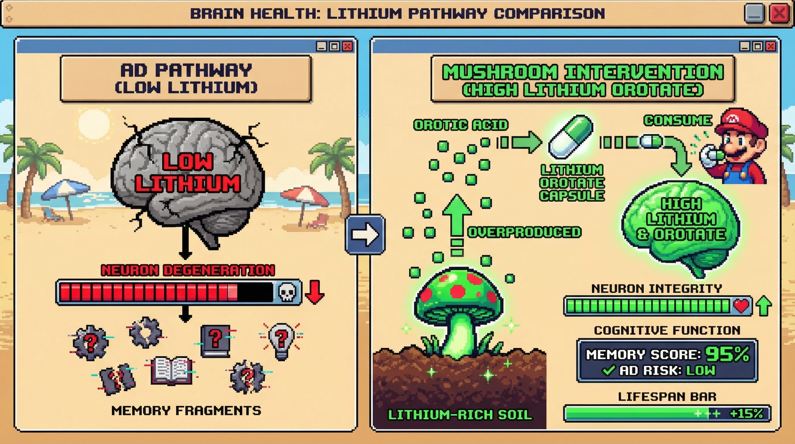 Infographic for:  Memory shrooms 