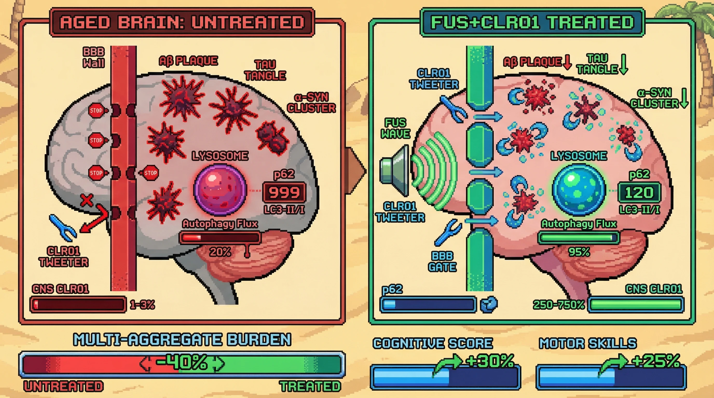 Mechanism: Focused Ultrasound (FUS) opens the blood-brain barrier, allowing CLR01 molecular tweezers to enter the brain and simultaneously disaggregate Aβ, tau, and α-synuclein aggregates. Readout: Readout: This treatment significantly reduces multi-aggregate burden by 40%, restores autophagic flux, and improves cognitive and motor function.