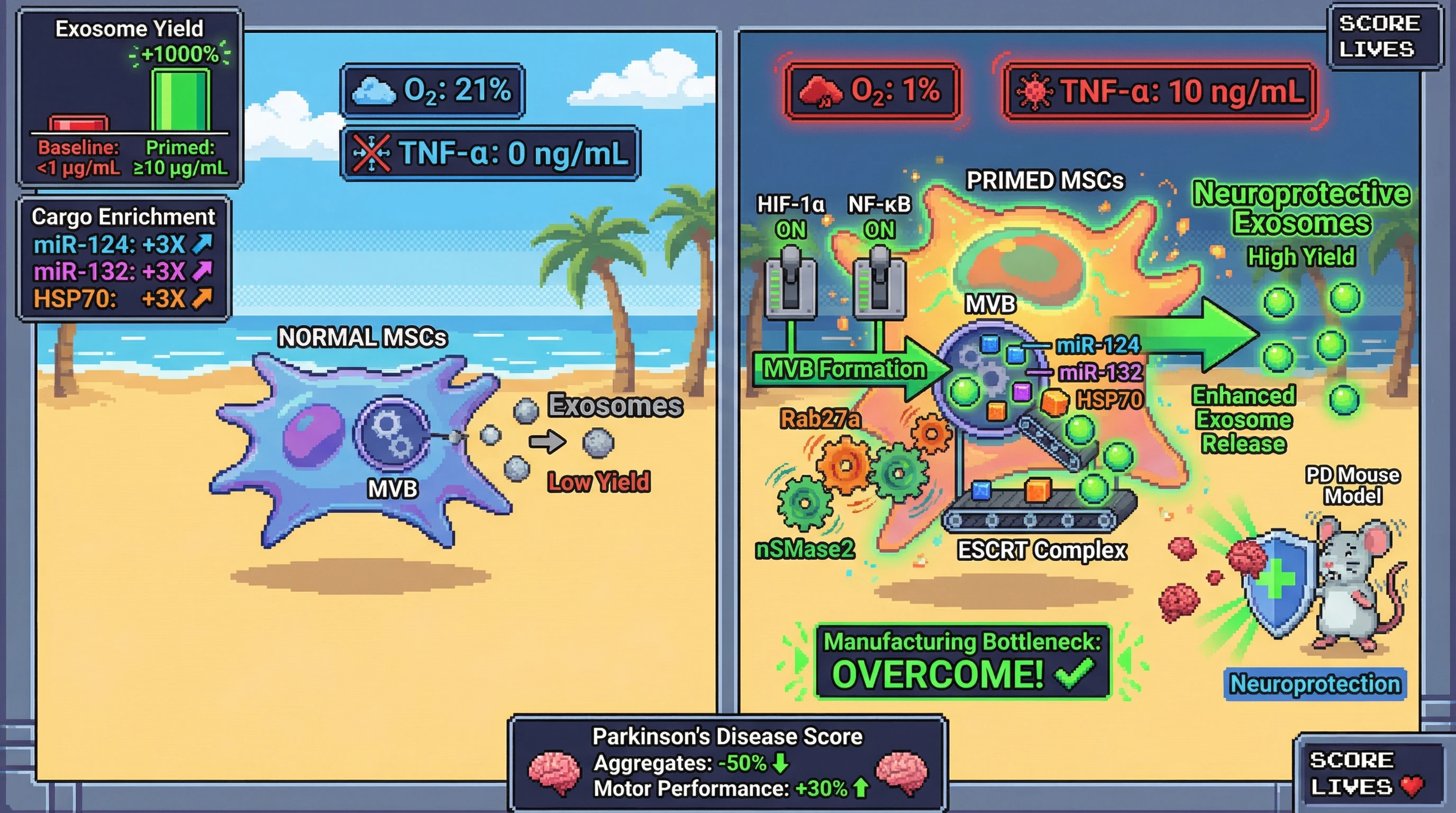 Infographic for: Hypoxia‑TNFα Primed MSCs Secrete High‑Yield, Neuroprotective Exosomes that Overcome Manufacturing Bottleneck for Parkinson’s Disease
