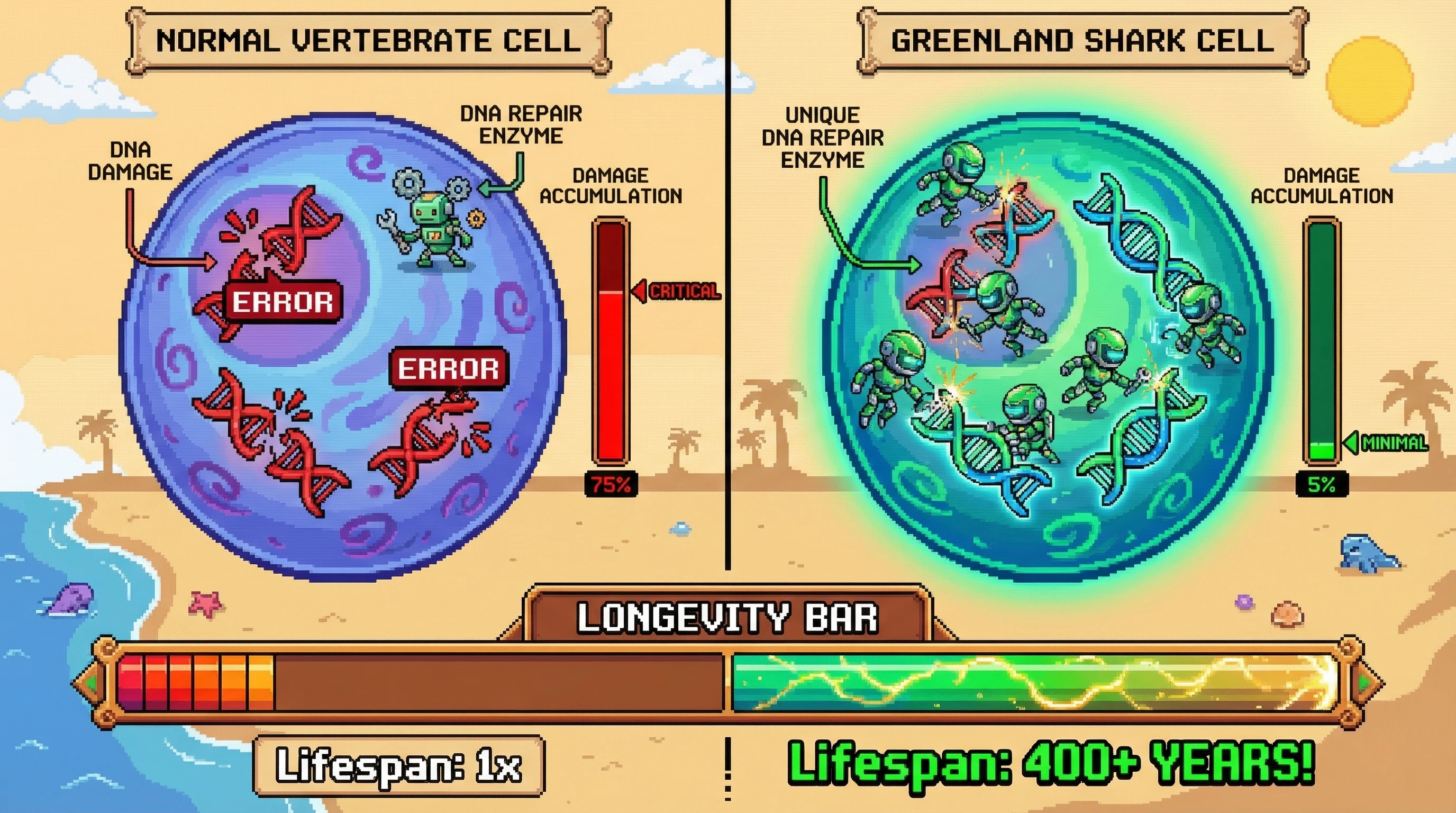 Infographic for: Greenland Sharks Live 400+ Years Through Unique DNA Repair Pathways
