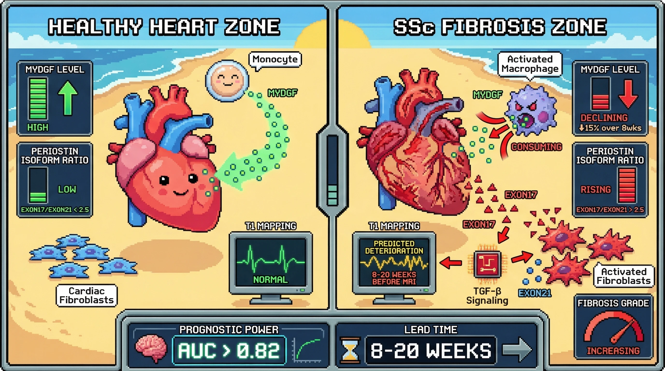Infographic for: Serum Soluble Myeloid-Derived Growth Factor (MYDGF) Kinetics Combined With Cardiac Fibroblast-Derived Periostin Isoform Ratio Predict Myocardial Fibrosis in Systemic Sclerosis 8–20 Weeks Before Cardiac MRI T1 Mapping Deterioration