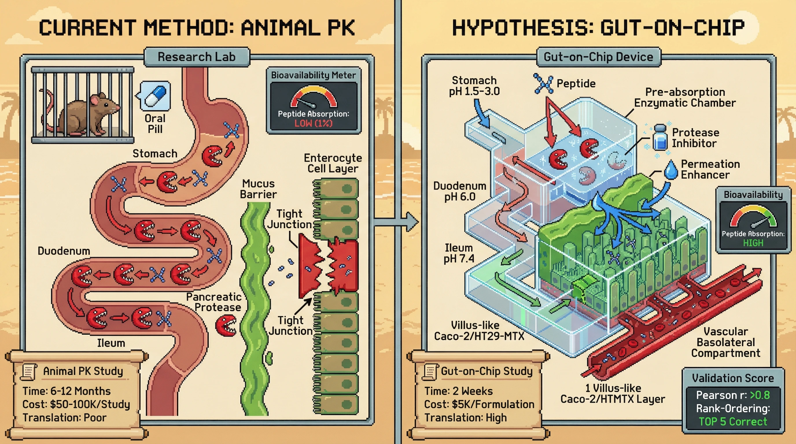 This infographic contrasts traditional animal studies with a novel gut-on-chip system for oral peptide formulation screening, highlighting how the chip's advanced features accurately predict bioavailability and drastically cut development time and animal use.