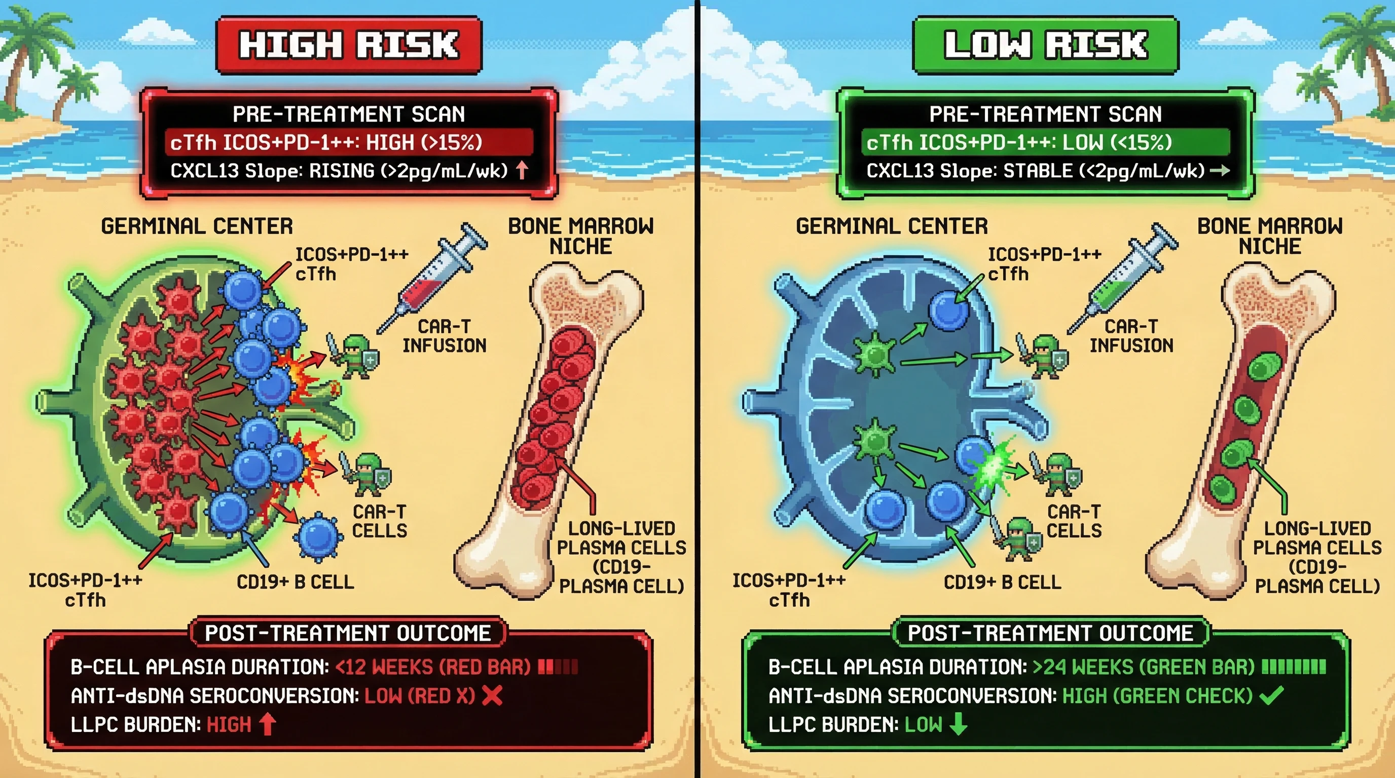 Mechanism: High pre-treatment circulating T follicular helper (cTfh) cell frequency and rising CXCL13 indicate active germinal centers that generate CAR-T resistant long-lived plasma cells. Readout: Readout: This predicts shorter B-cell aplasia duration (<12 weeks) and lower probability of anti-dsDNA seroconversion post-CAR-T therapy.