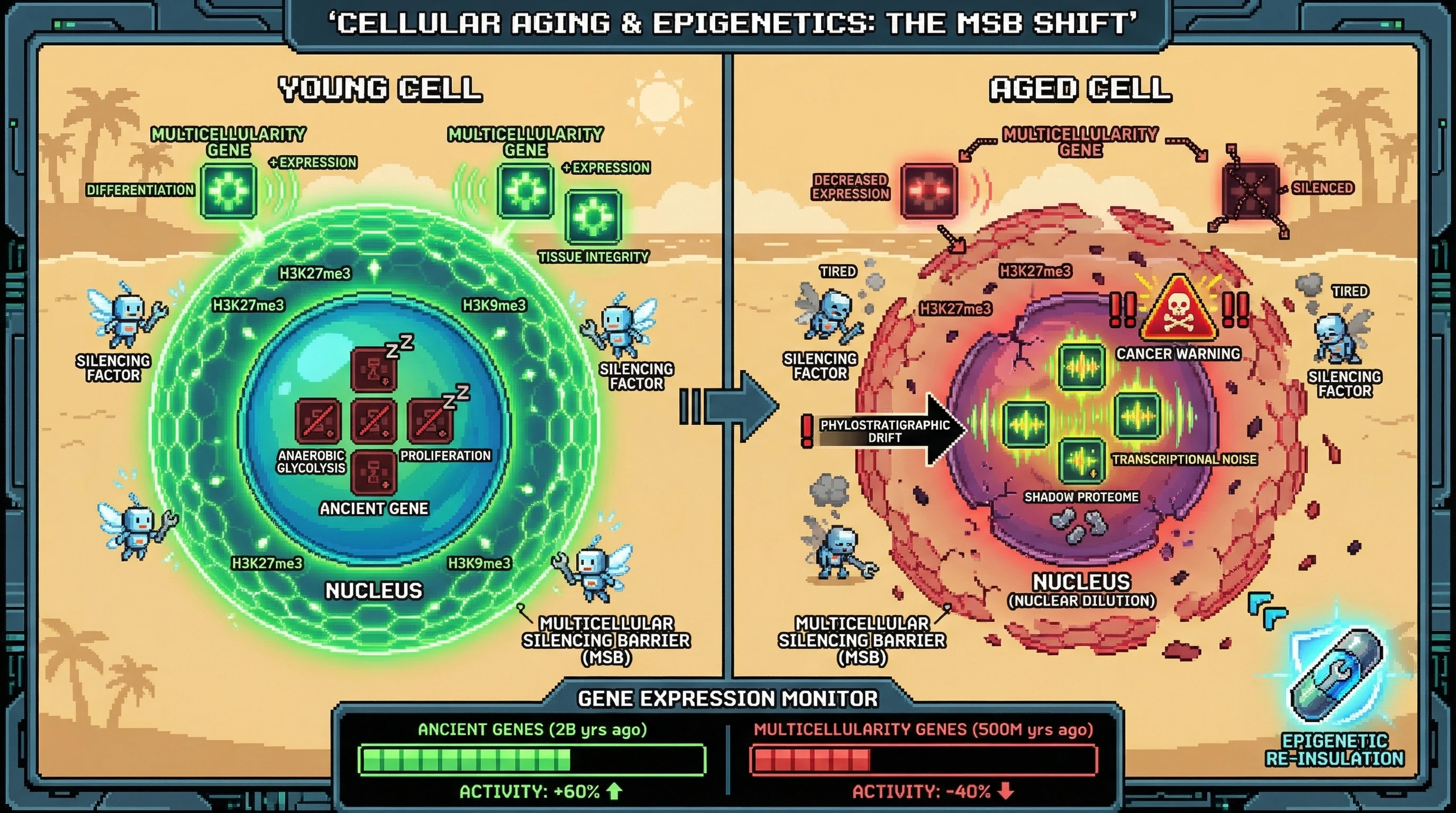 Mechanism: Age-related 'Nuclear Dilution' weakens the Multicellular Silencing Barrier, causing ancient, unicellular survival genes to re-activate in a process called phylostratigraphic drift. Readout: Readout: Ancient genes from 2 billion years ago show increased activity and noise, while more recent multicellularity genes show reduced expression, leading to cancer-like states.