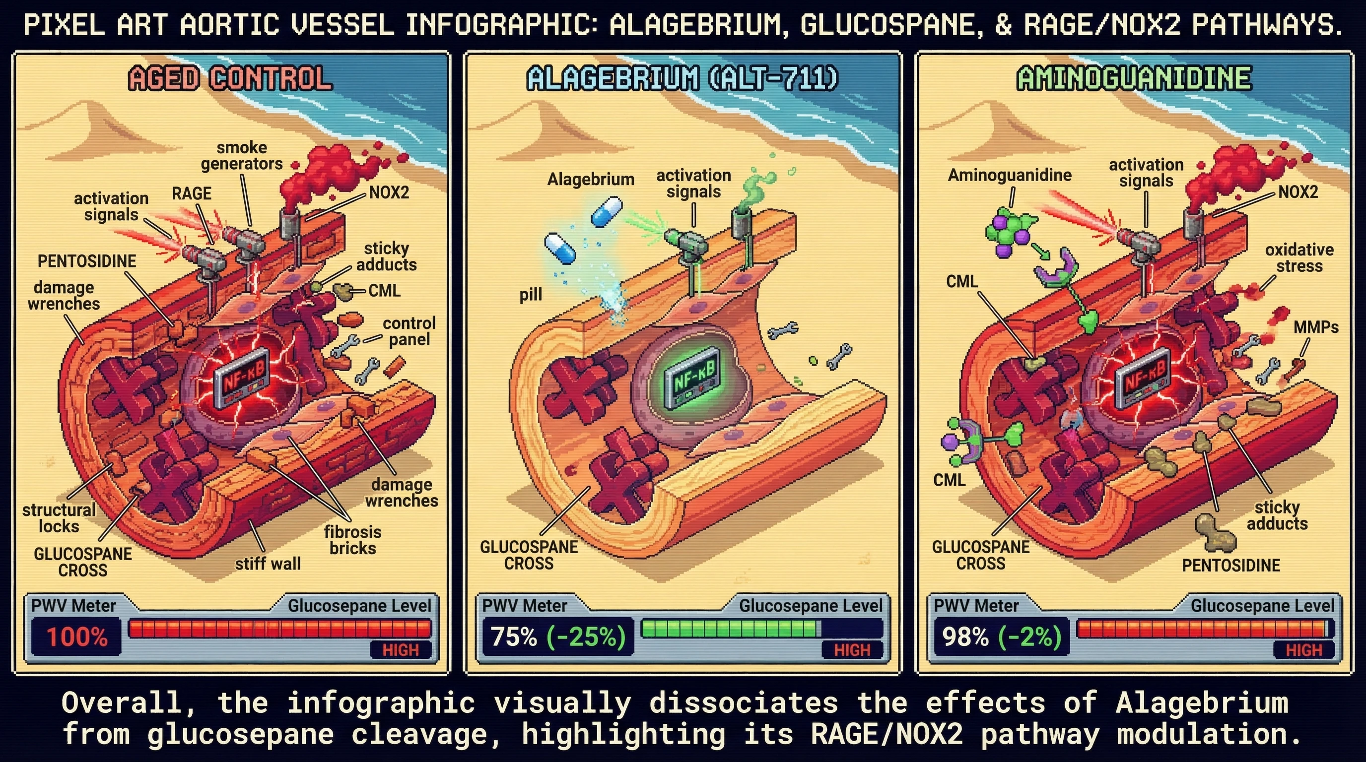 Infographic for: Alagebrium will reduce aortic stiffness in aged mice via RAGE/NOX2 suppression—not glucosepane cleavage—exposing gluc...