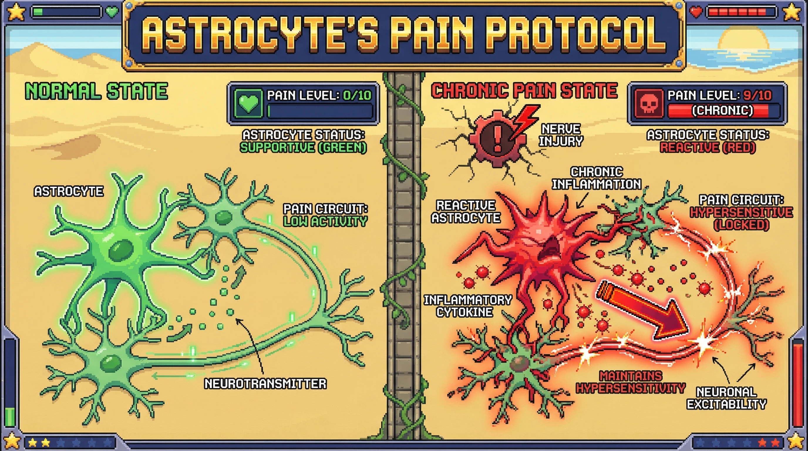 Infographic for: Astrocytes are not innocent bystanders in chronic pain—they actively maintain it