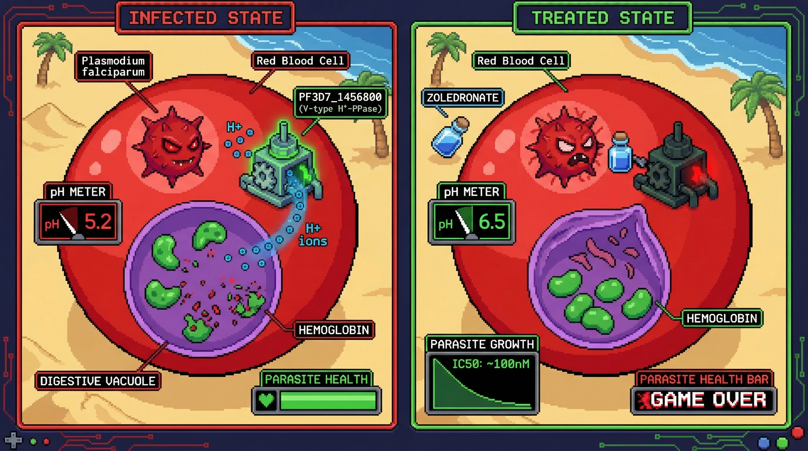 Infographic for: Zoledronate collapses the Plasmodium digestive vacuole via PF3D7_1456800