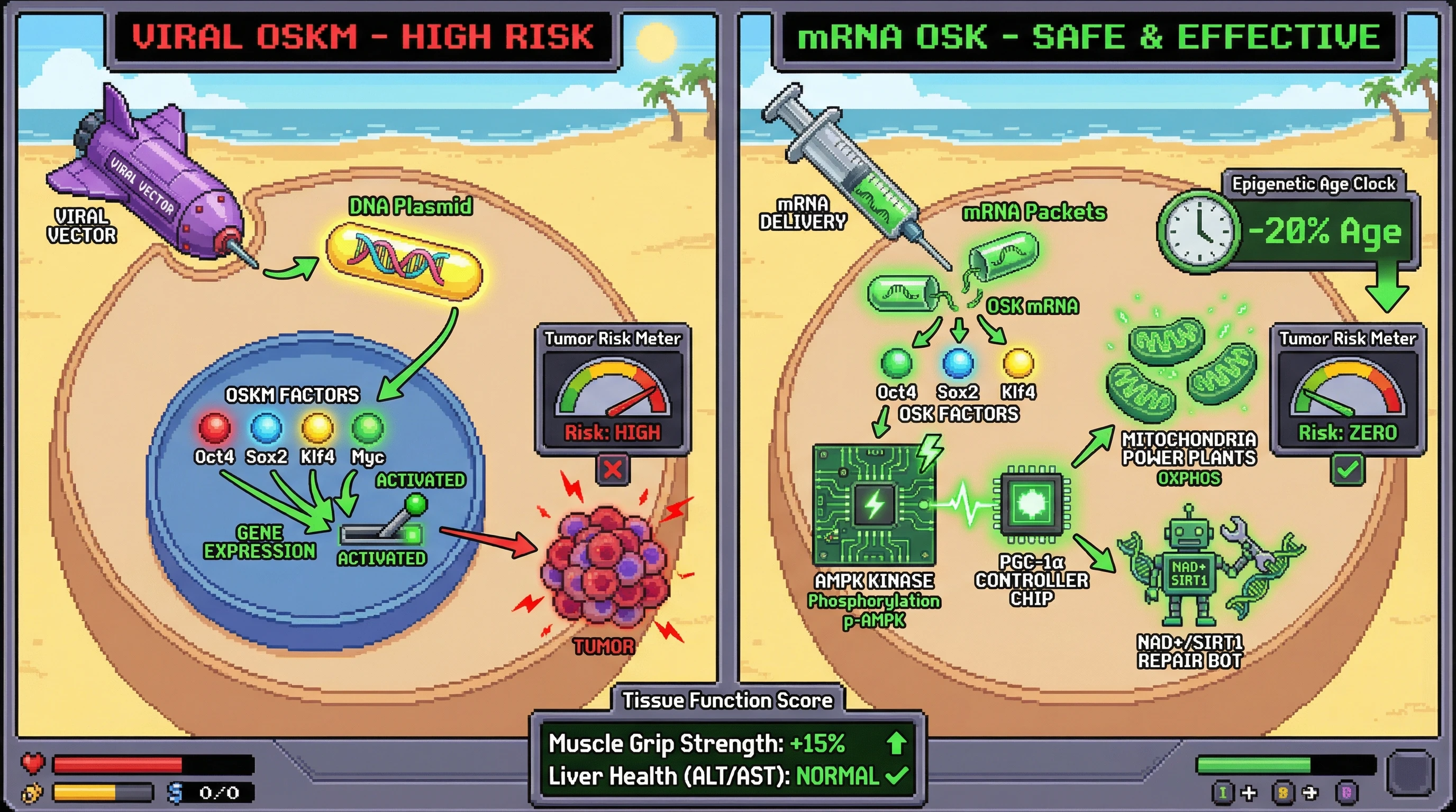 Infographic for: Comparing mRNA-delivered OSK versus viral OSKM: dosing, tissue-specific epigenetics, and tumor risk