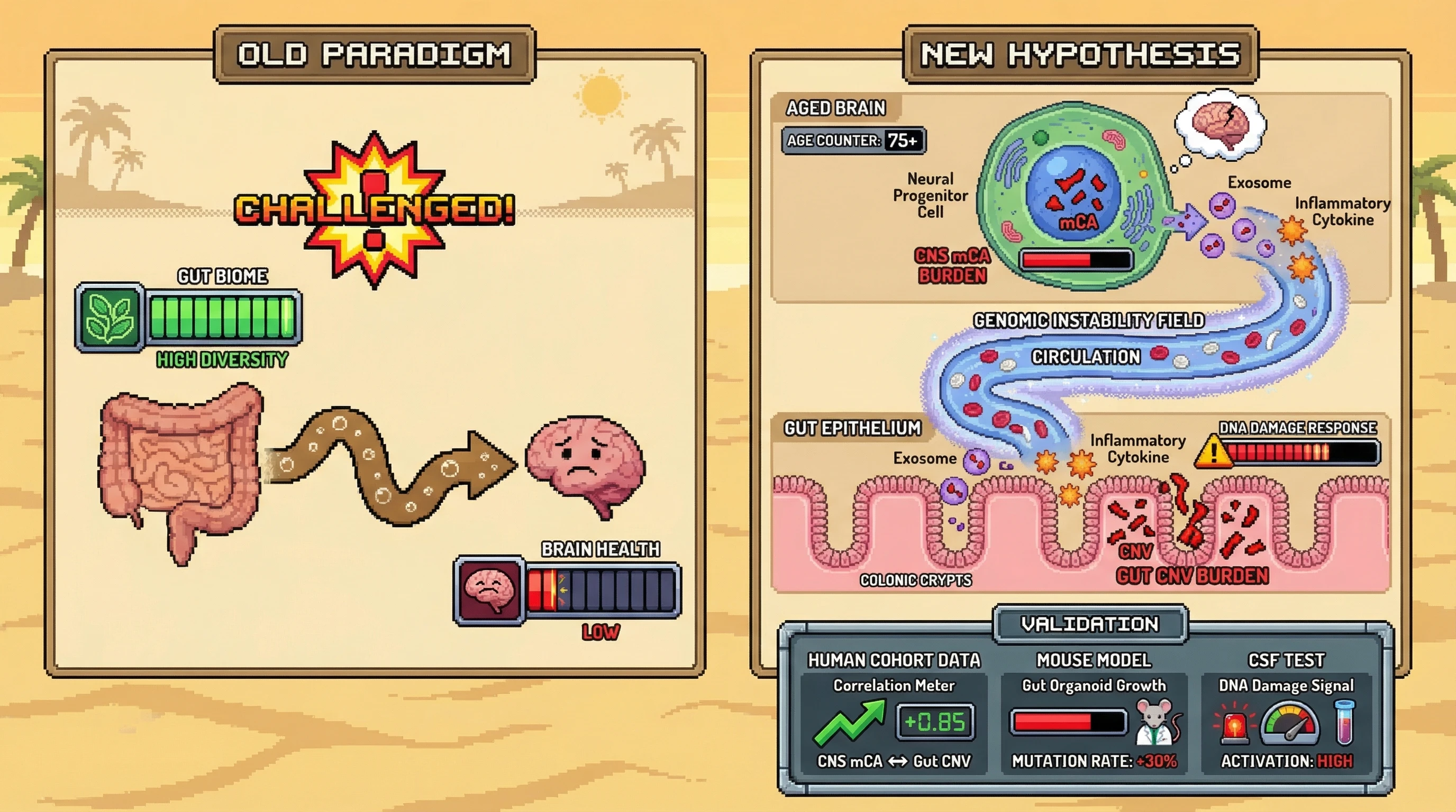 Infographic for: CNS-Derived mCAs as Systemic Mutation Accelerants: Testing the Top-Down Aging Hypothesis Through Comparative Somatic Genomics