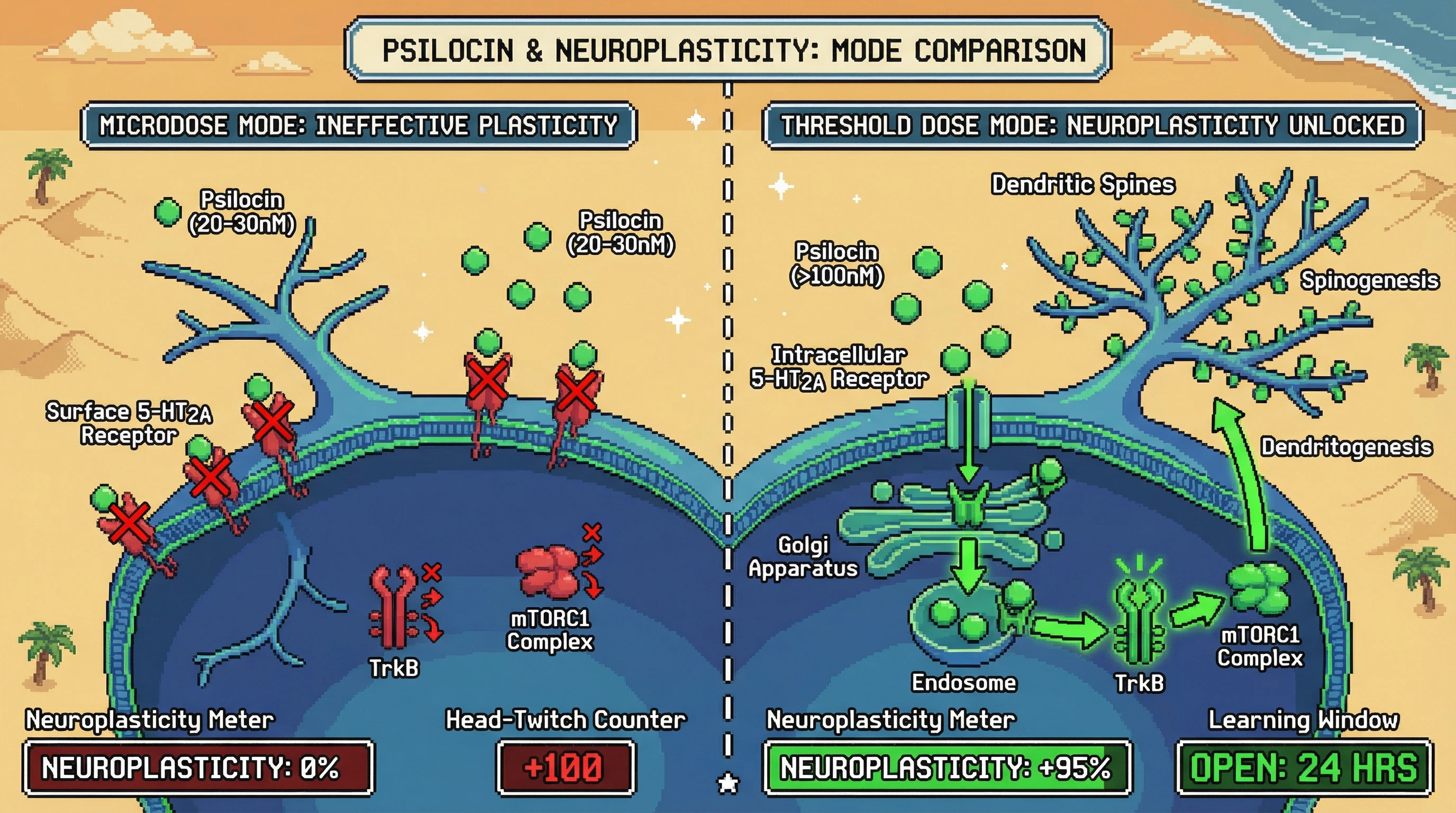 Infographic for: Microdosing Is Macro-Wrong—Threshold Doses Unlock Neuroplasticity