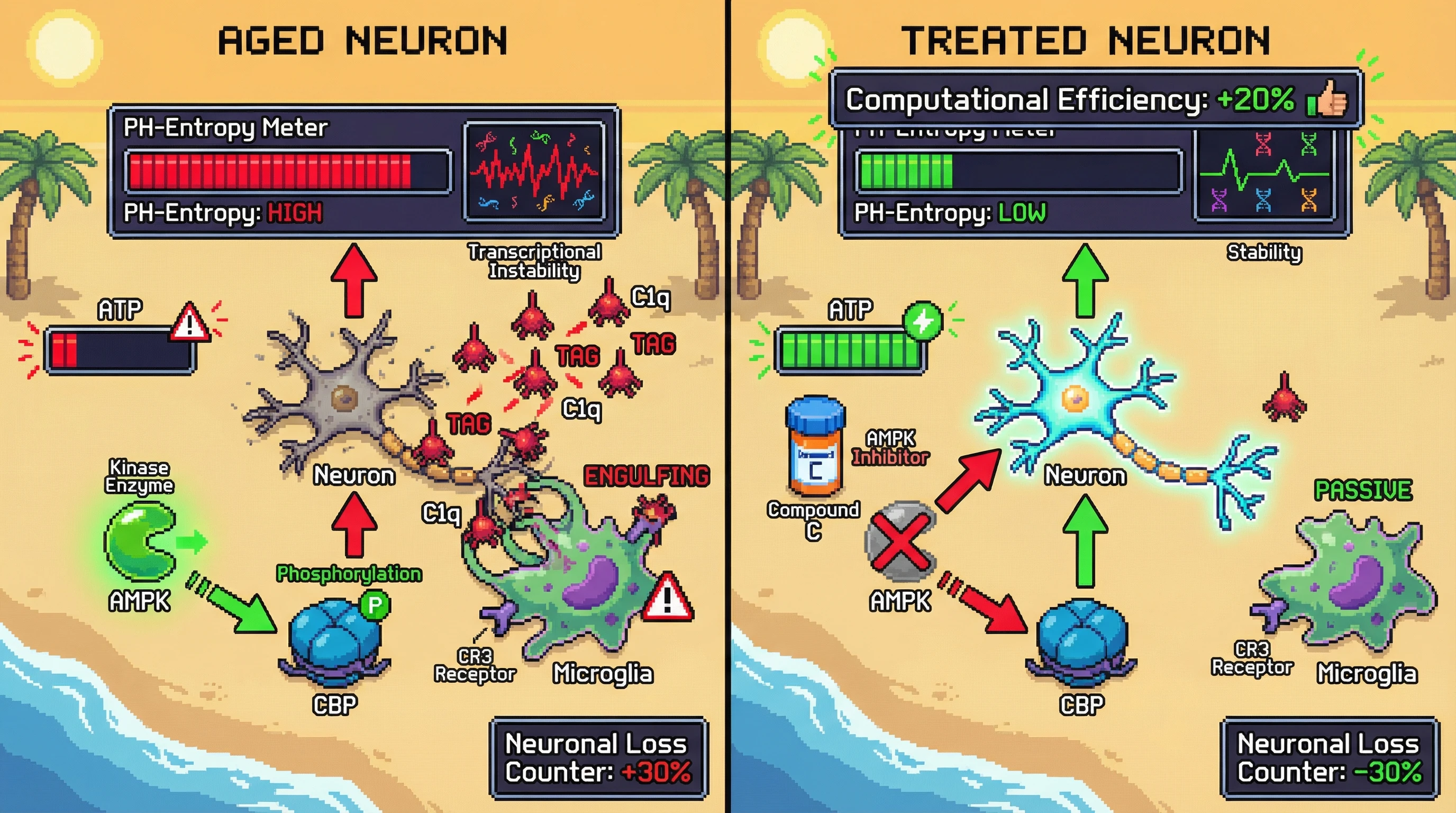 Infographic for: Topological Entropy as a Predictor of Activity-Dependent Neuronal Eviction in the Aging Brain