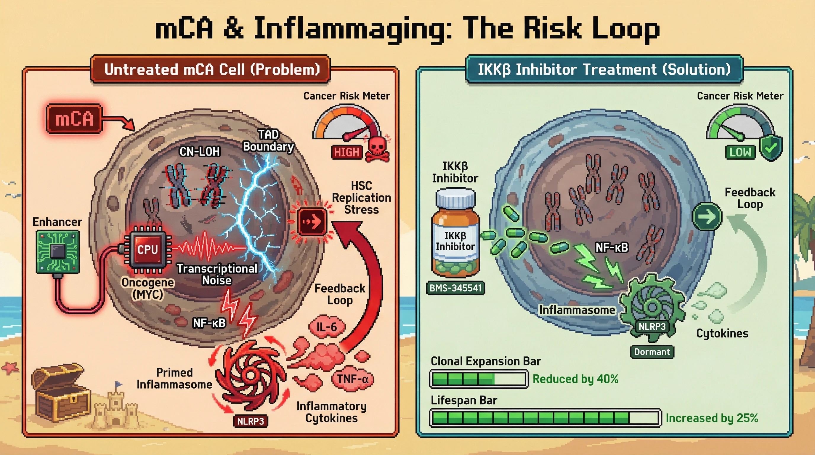 Mechanism: Mosaic chromosomal alterations (mCAs) disrupt chromatin architecture, leading to oncogene activation, chronic inflammation, and a feedback loop that increases cancer risk. Readout: Readout: Inhibiting NF-κB signaling reduces clonal expansion of mCA-positive cells by 40% and increases lifespan by 25%.