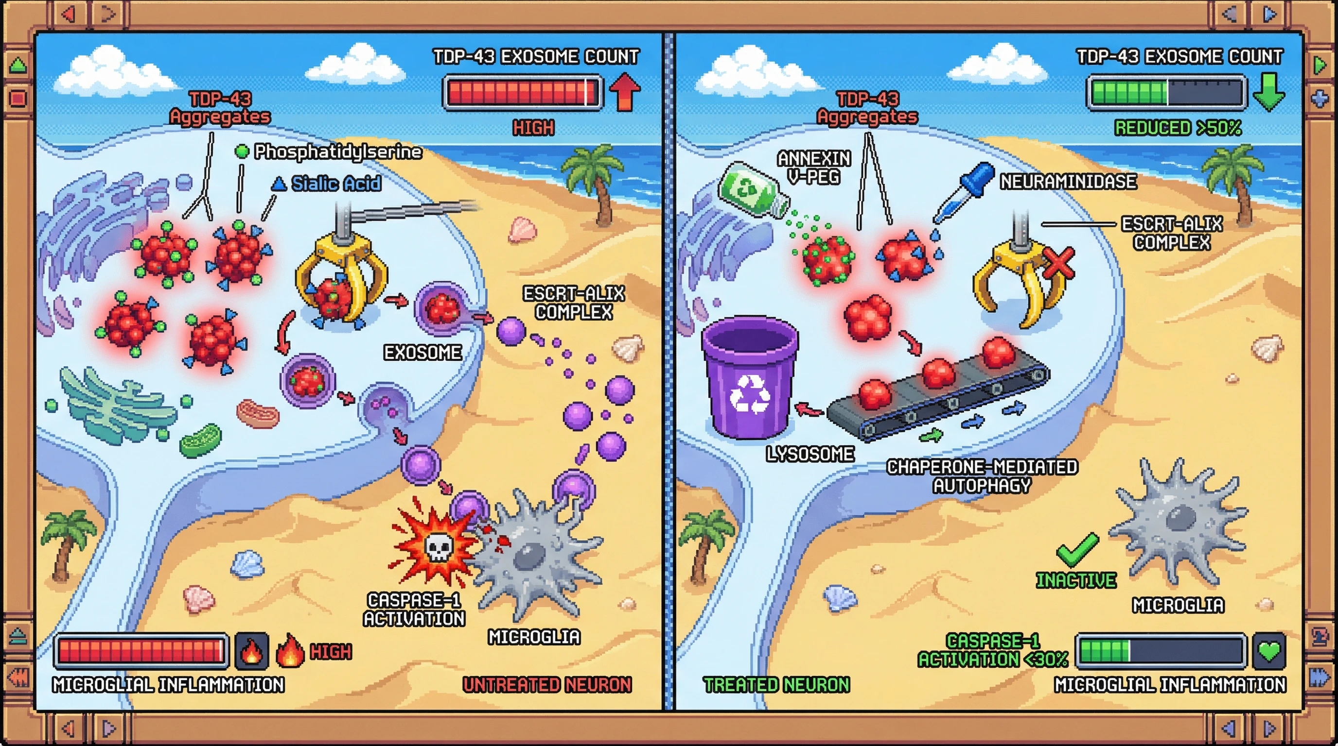 Infographic for: Aggregate Surface Chemistry ControlsExosomal Loading and Decouples Protective Clearance from Pathogenic Spread