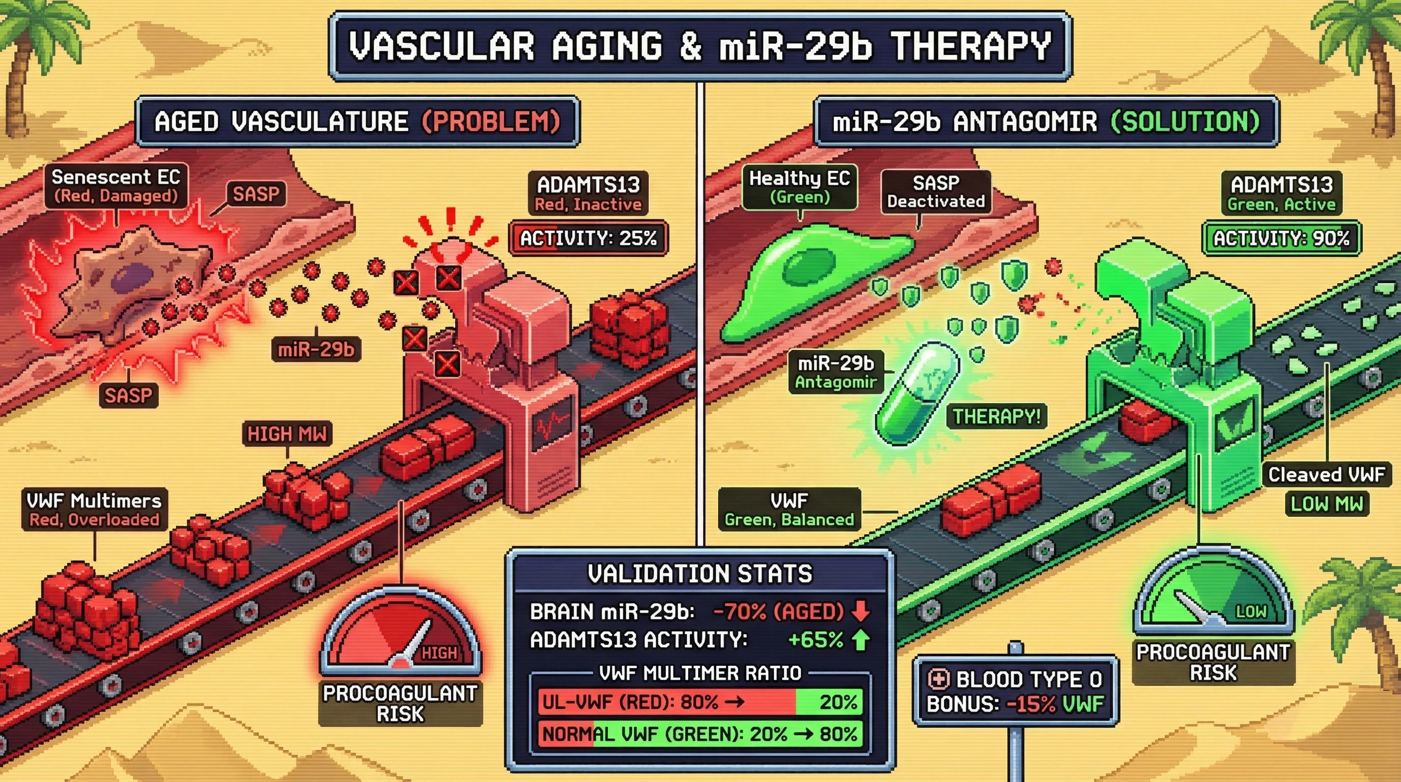 Mechanism: Aging-induced senescent endothelial cells upregulate miR-29b, which suppresses ADAMTS13 activity, leading to accumulation of ultra-large VWF multimers. Readout: Readout: miR-29b antagomir treatment reduces miR-29b levels, restores ADAMTS13 activity by 65%, and normalizes the VWF multimer ratio.