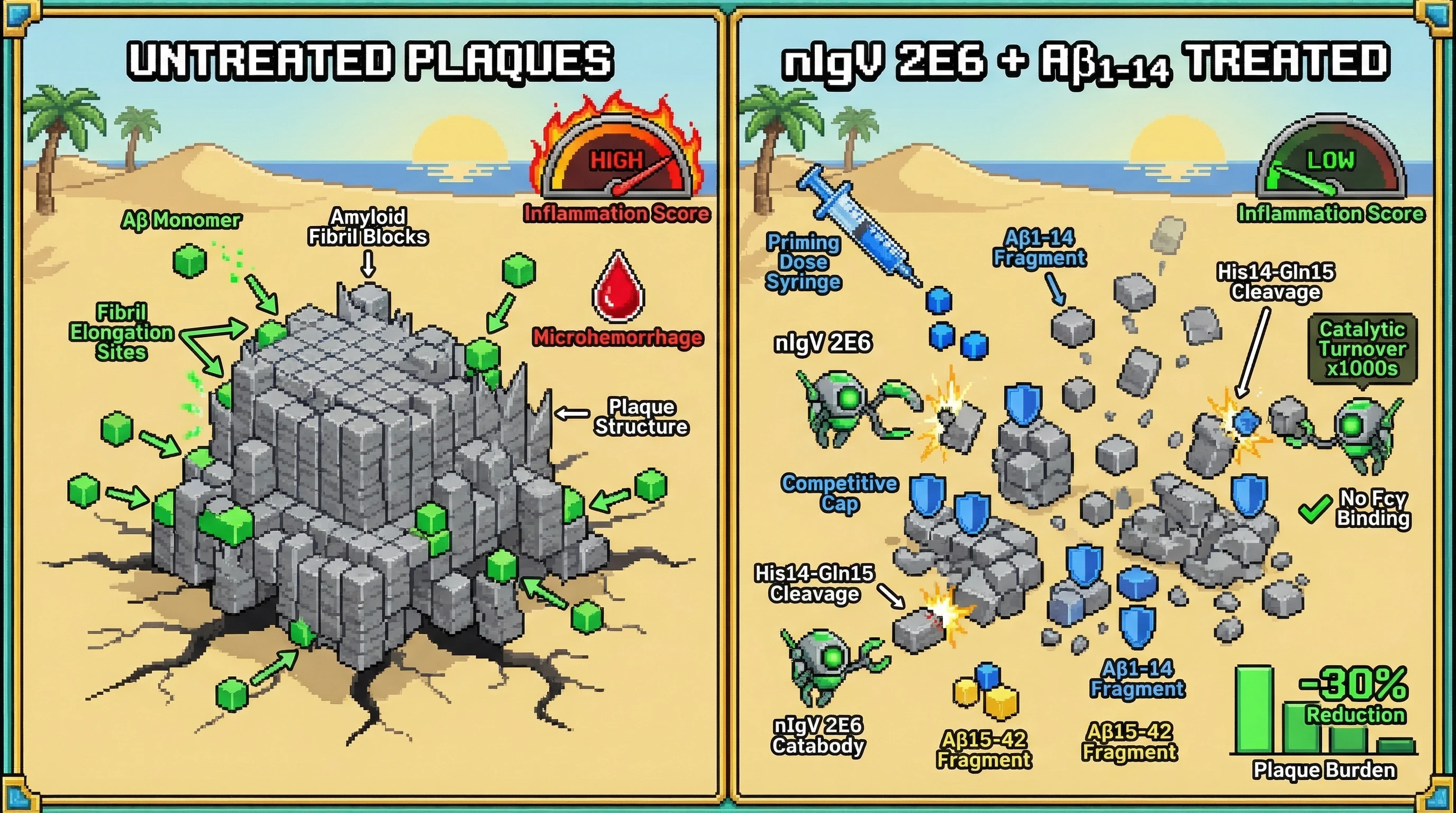 Infographic for: Co-administration of catalytic IgV-domain catabody nIgV 2E6 with its own Aβ1-14 cleavage product as a fibril-end capp...