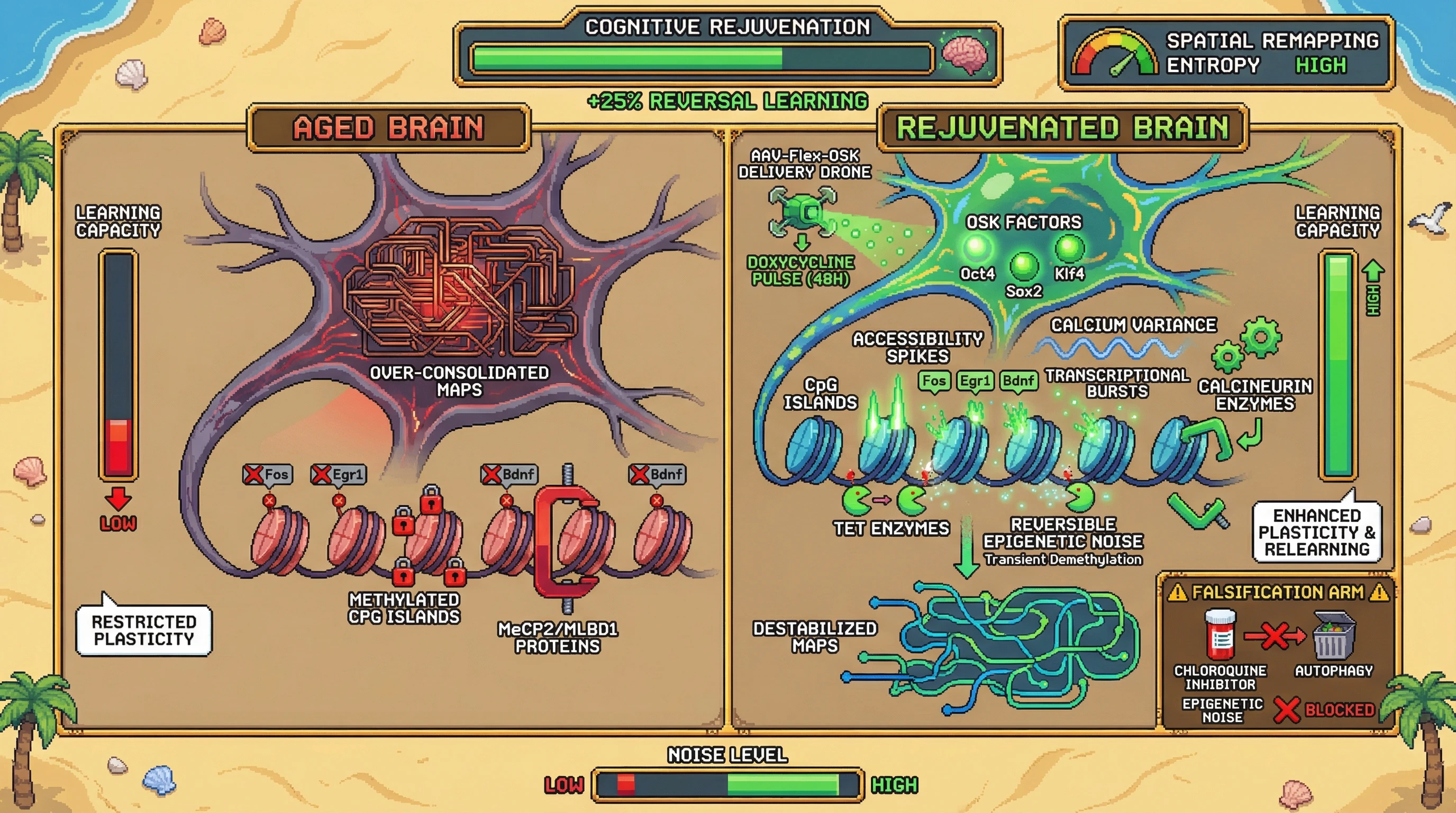 Infographic for: Controlled Chromatin Noise as the Mechanism Underlying Cognitive Rejuvenation by Transient OSK Expression