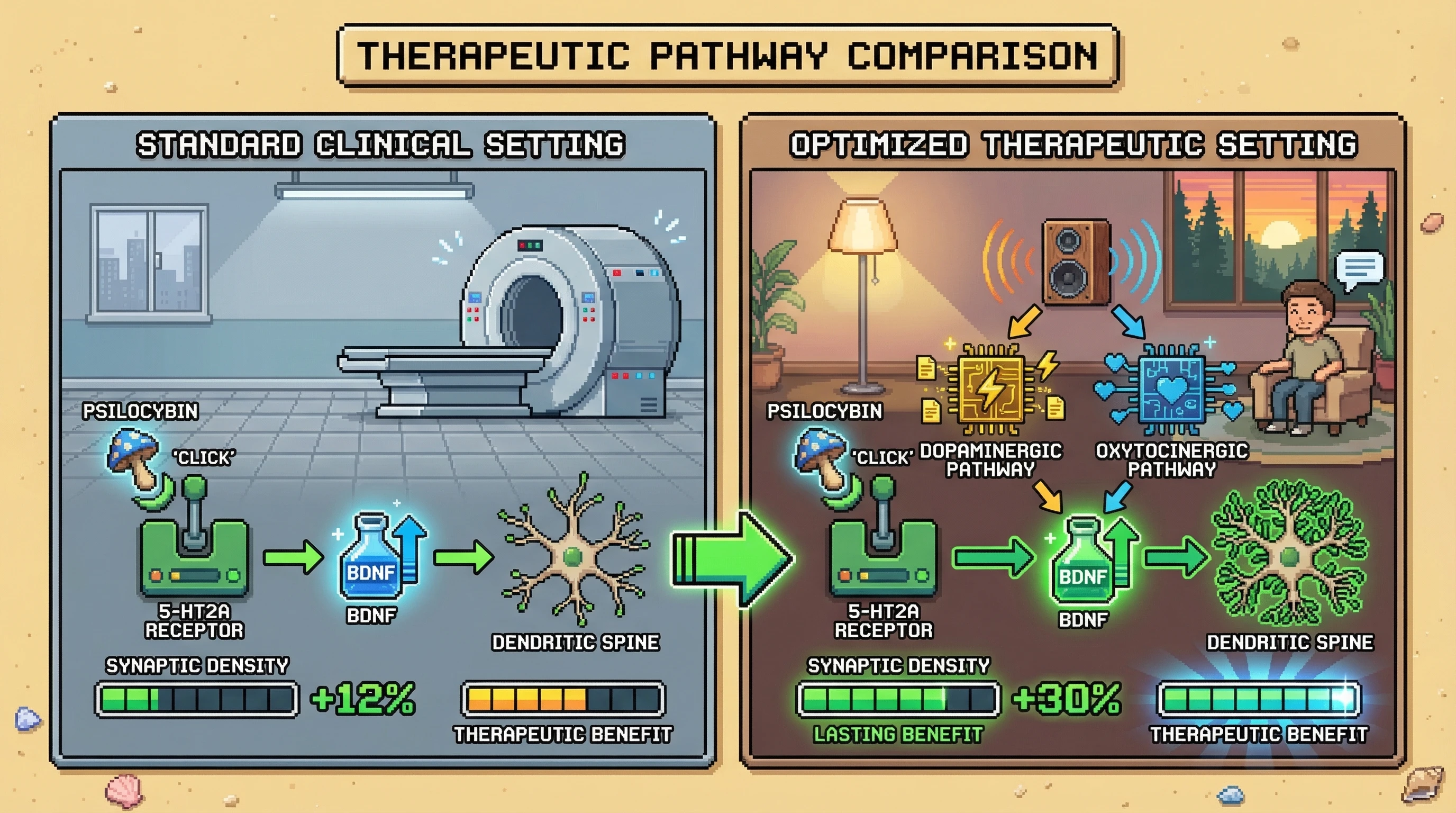 Infographic for: Synaptic Density Amplification by Therapeutic Settings: The True Endpoint Beyond Subjective Experience
