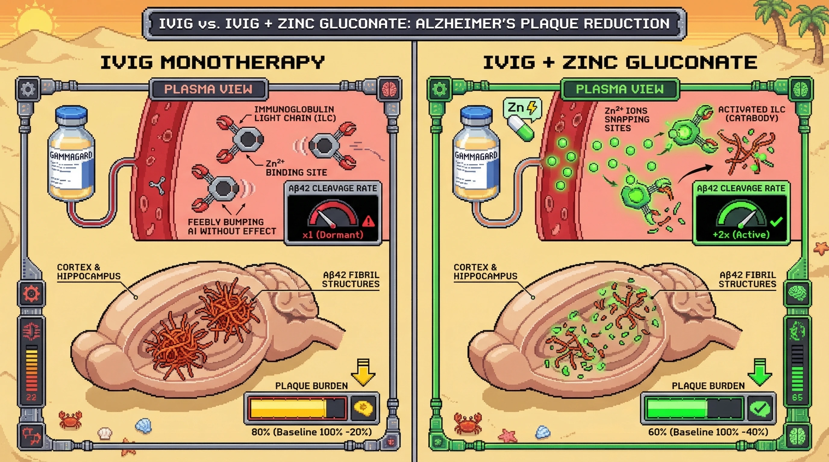 Mechanism: Oral zinc gluconate reactivates dormant, metalloprotease-like immunoglobulin light chains from IVIG by coordinating a Zn²⁺ ion, enabling them to cleave Aβ42 fibrils. Readout: Readout: This co-treatment increases plasma Aβ42 cleavage rate by ≥2-fold and reduces cortical/hippocampal plaque burden by ≥40% compared to IVIG monotherapy.