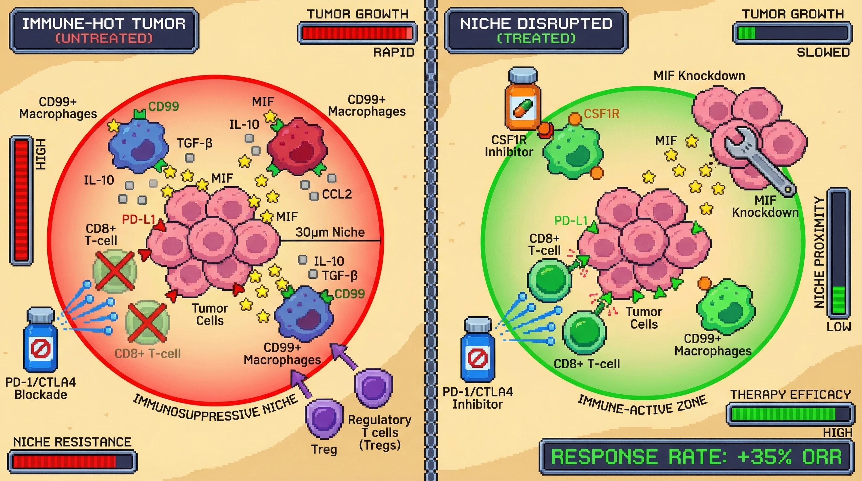 Infographic for: Spatial MIF/CD99‑driven macrophage niches predict immunotherapy resistance in immune‑hot breast cancer and can be overridden by CSF1R‑mediated niche disruption