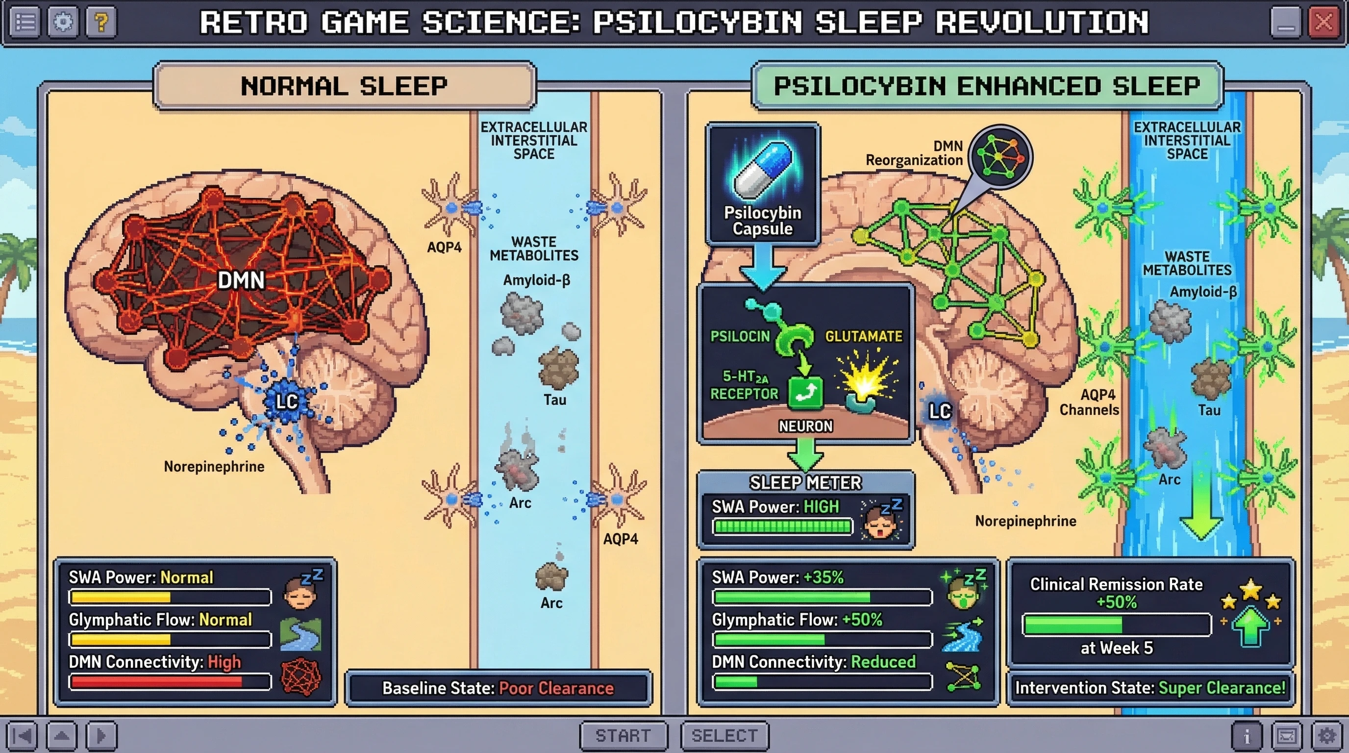 Infographic for: Psilocybin primes the glymphatic system to sculpt enduring default mode network remodeling during sleep