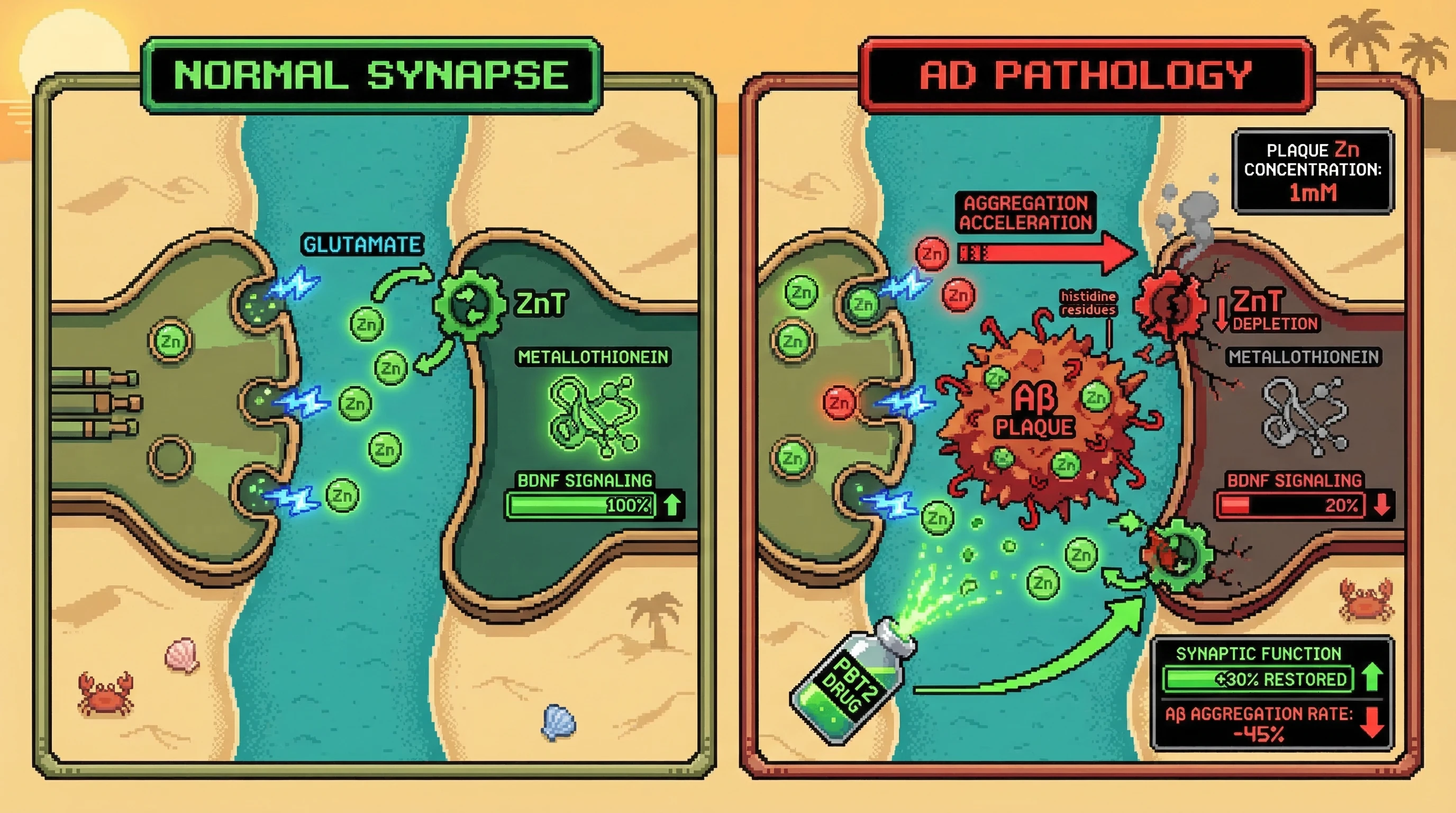 Infographic for:  Metal Ion Dyshomeostasis On Alzheimer's Disease