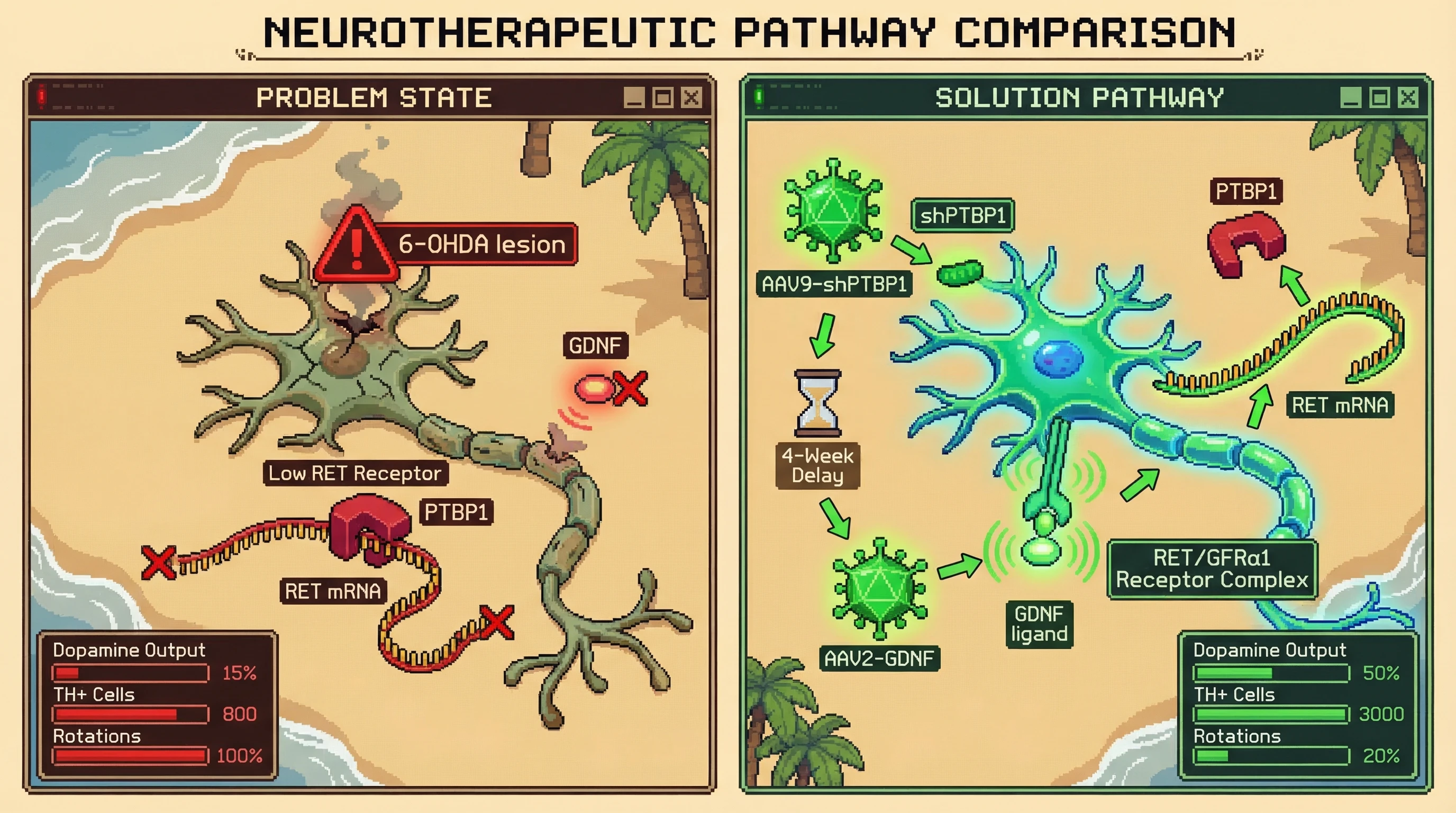 Mechanism: Sequential delivery of shPTBP1 and GDNF primes aged dopaminergic neurons by restoring RET receptor expression, allowing subsequent GDNF signaling. Readout: Readout: This leads to a 35% increase in striatal dopamine, over 2500 TH+/DAT+ cells, and a 40% reduction in contralateral rotations.