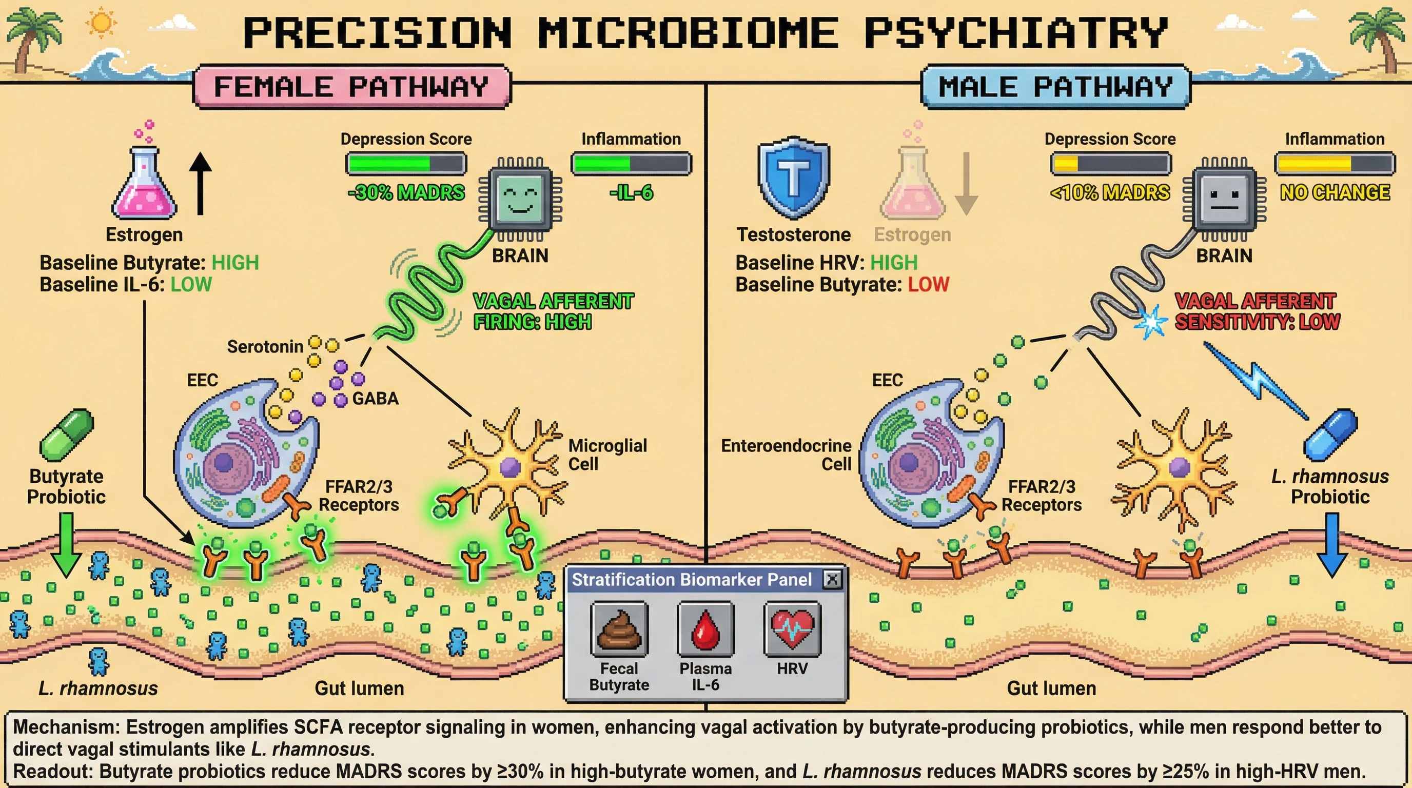Infographic for: Sex‑Specific Vagal‑Immune Crosstalk Determines Differential Efficacy of Short‑Chain Fatty Acid–Based Psychobiotics in Depression