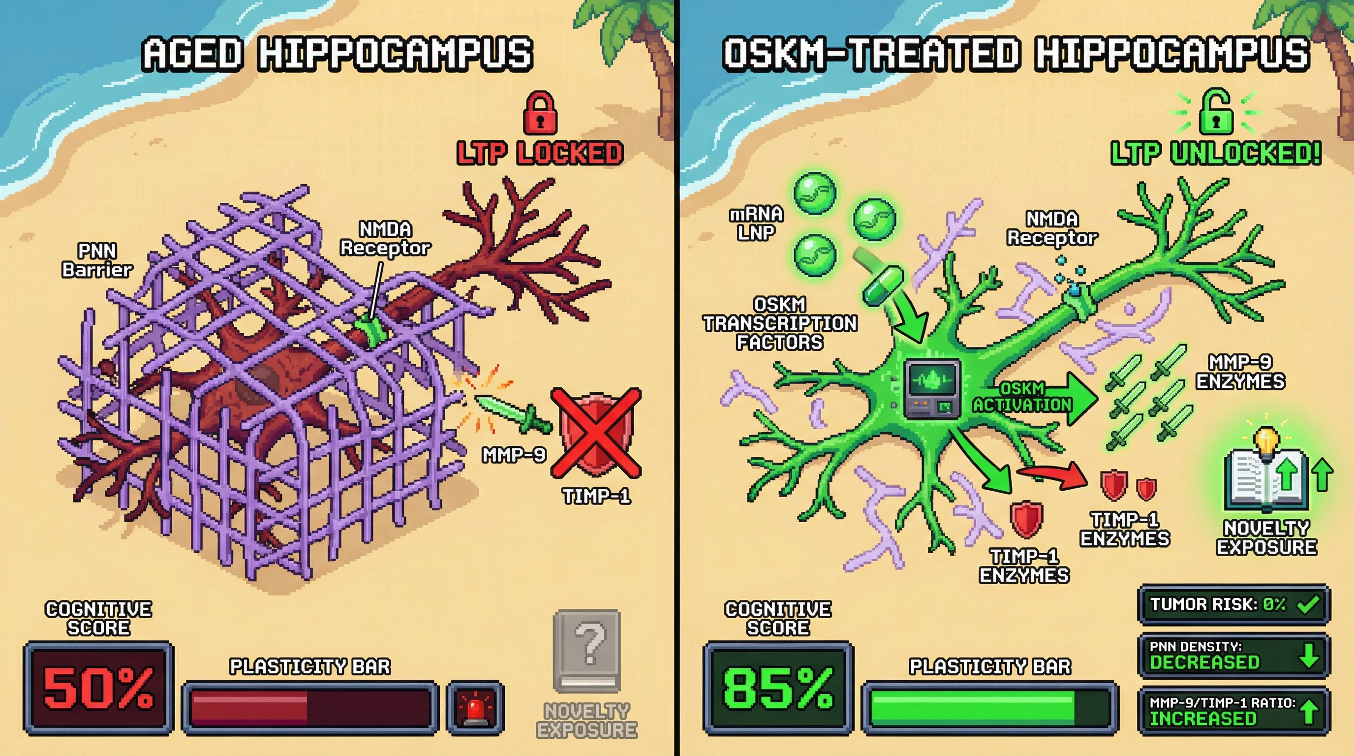 Infographic for: Transient OSKM-Induced ECM Remodeling Releases Latent Hippocampal Plasticity in Aging
