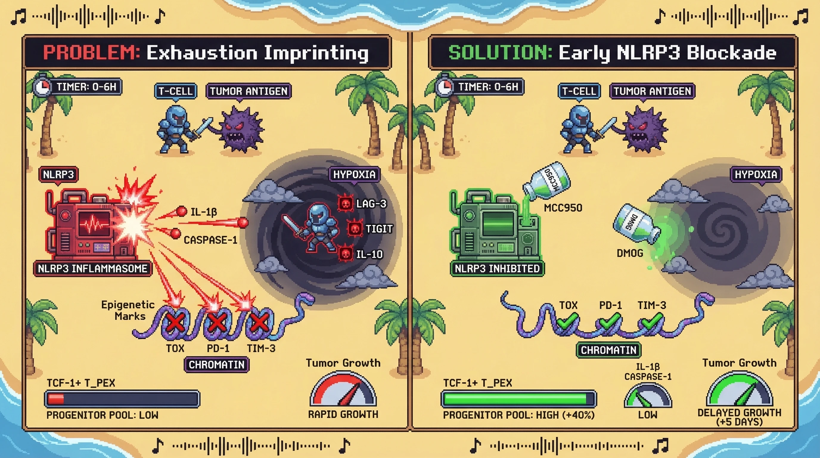 Infographic for: Early NLRP3 inhibition blocks epigenetic imprinting of T‑cell exhaustion and prevents hypoxia‑driven immunosuppressive conversion