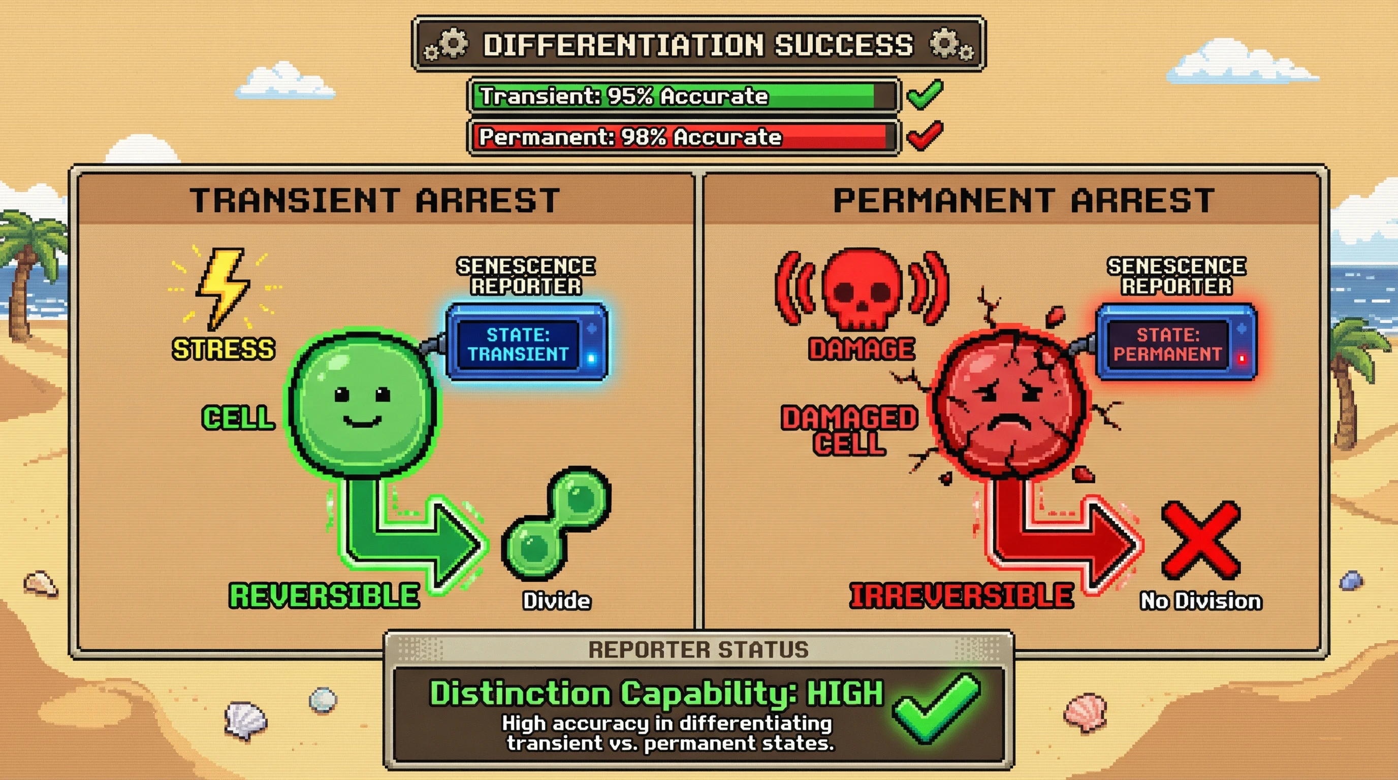This infographic illustrates the critical difference between transient and permanent cellular arrest, proposing a pixelated senescence reporter that accurately distinguishes these states for more targeted interventions.