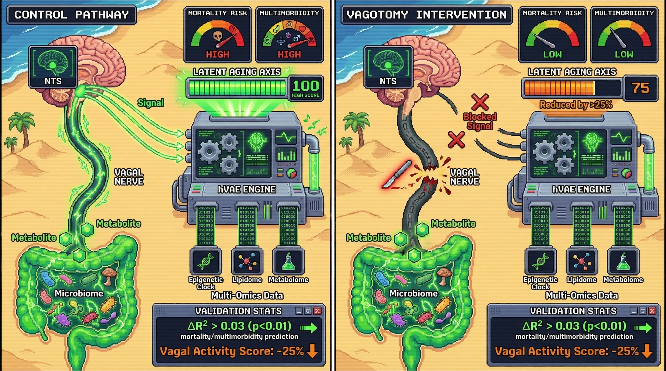 Infographic for: A Hierarchical VAE Framework Linking Vagal Afferent Signaling to Multi‑Omics Aging Axes