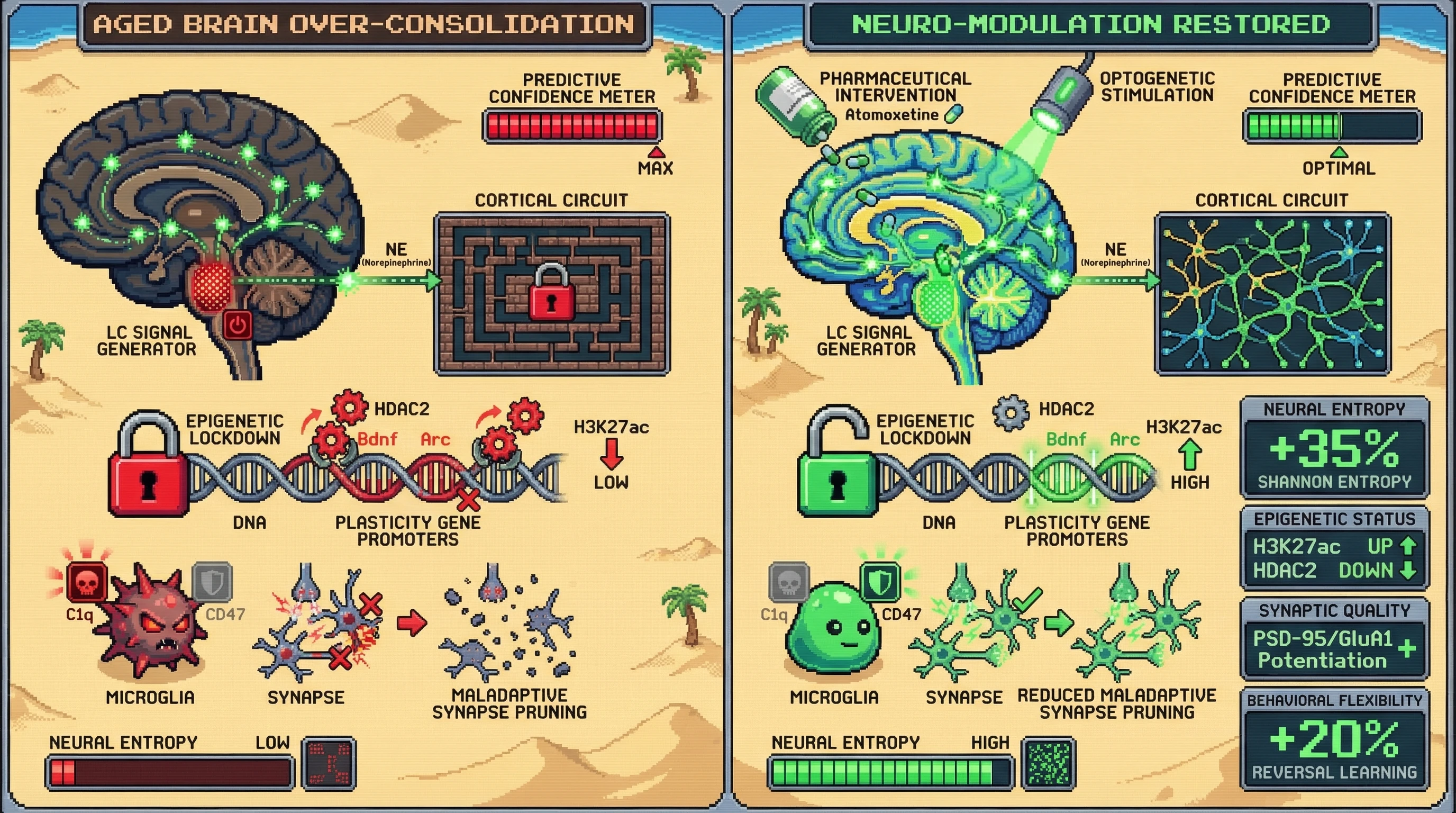 Infographic for: Reintroducing Controlled Neuromodulatory Noise to Counteract Age-Related Over-Consolidation and Restore Cortical Plasticity
