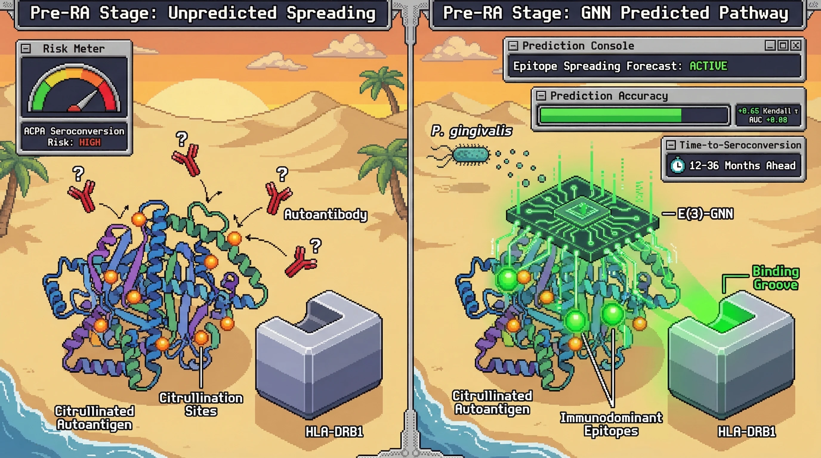 Infographic for: Geometric Deep Learning on Autoantigen 3D Structures Combined With HLA-DRB1 Haplotype Embeddings Predicts Novel Epitope-Specific Autoantibody Emergence in Preclinical Rheumatoid Arthritis 12–36 Months Before Seroconversion