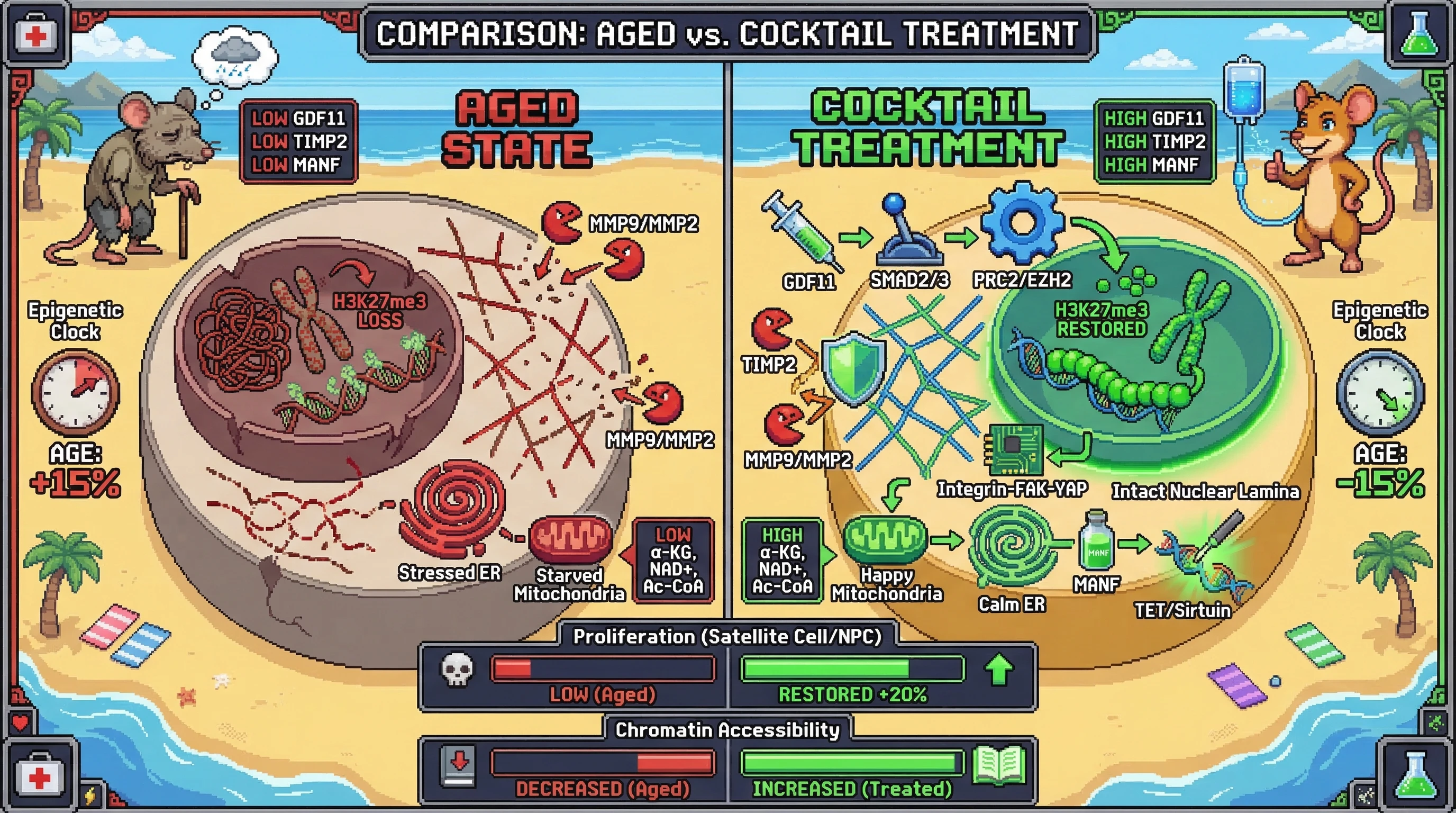 Infographic for: A three-factor recombinant cocktail — GDF11 + TIMP2 + MANF — targeting three independent epigenetic repair axes (PRC2...