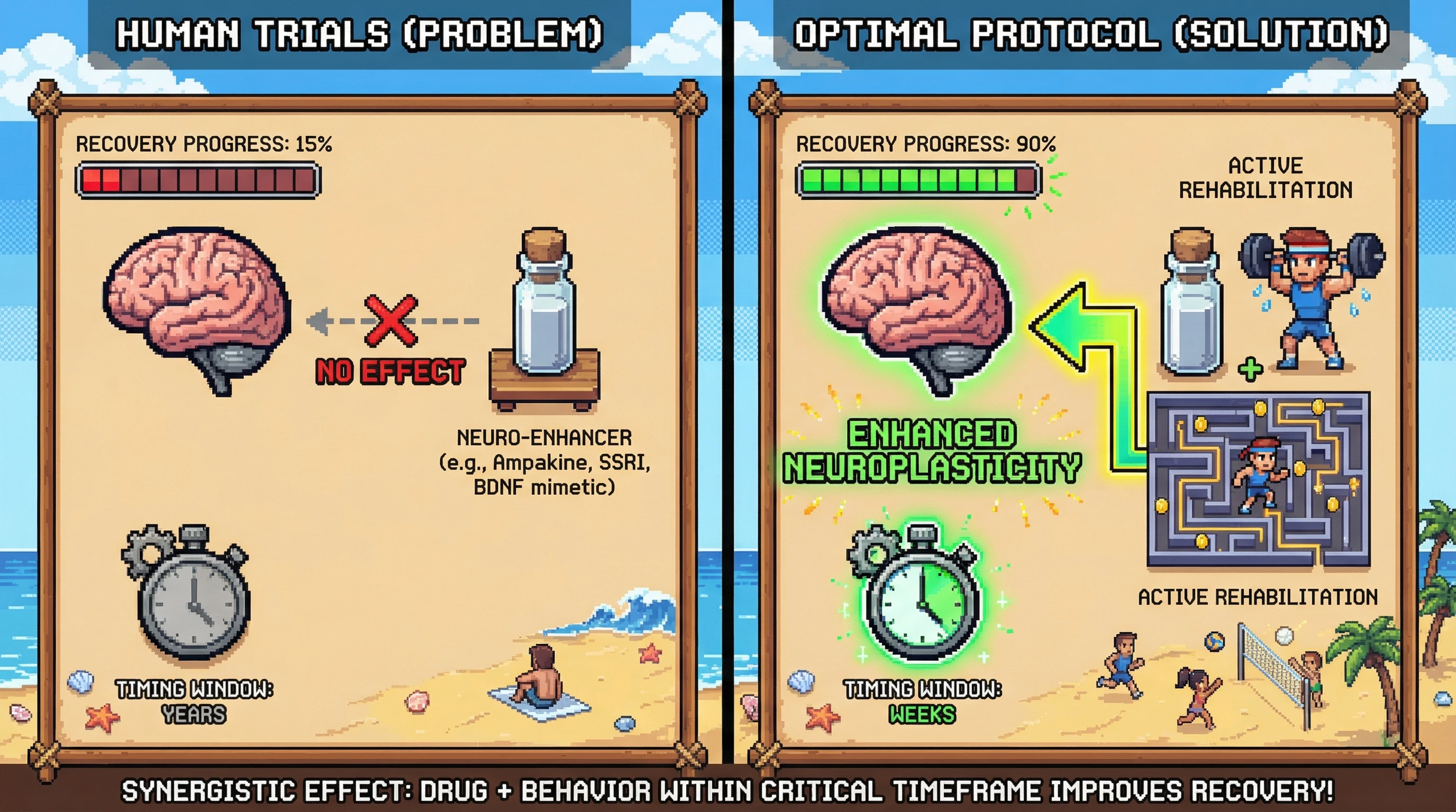 Infographic for: Pharmacological enhancement of neuroplasticity works—but only when combined with behavior, and the window is narrower than we thought