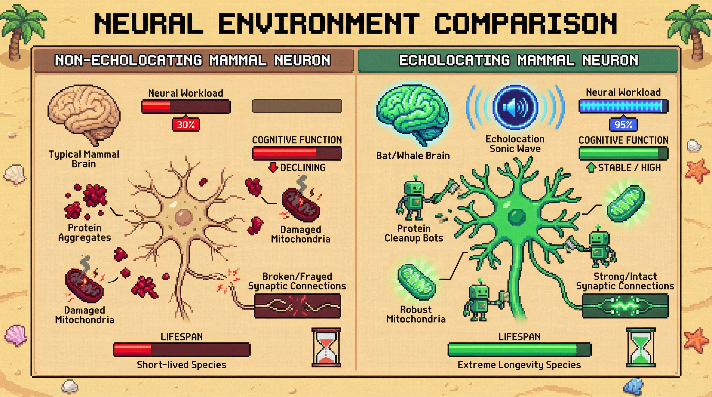 Infographic for: Echolocation Extends Brain Lifespan—Bats and Toothed Whales Evolved Superior Neural Maintenance to Power Their Sonar