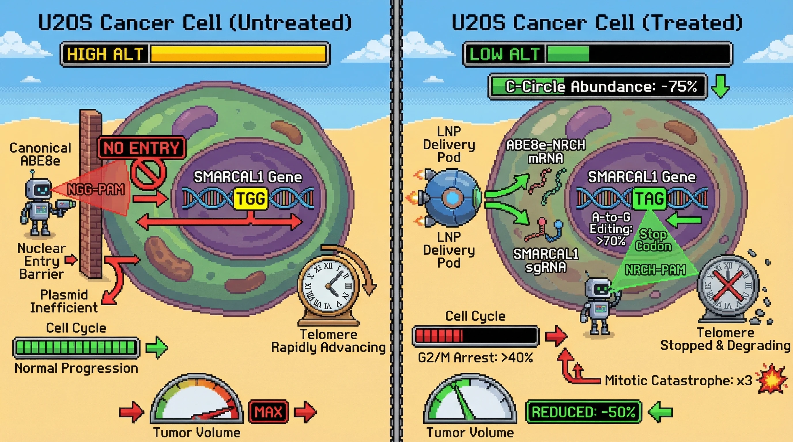 Mechanism: LNP-delivered ABE8e-NRCH mRNA creates a stop codon in SMARCAL1 Exon 3, causing loss-of-function and synthetic lethality in ALT-positive U2OS cells. Readout: Readout: A-to-G editing efficiency is ≥70%, C-circle abundance decreases 2-5 fold, and xenograft tumor volume is reduced by ≥50% at 8 weeks.
