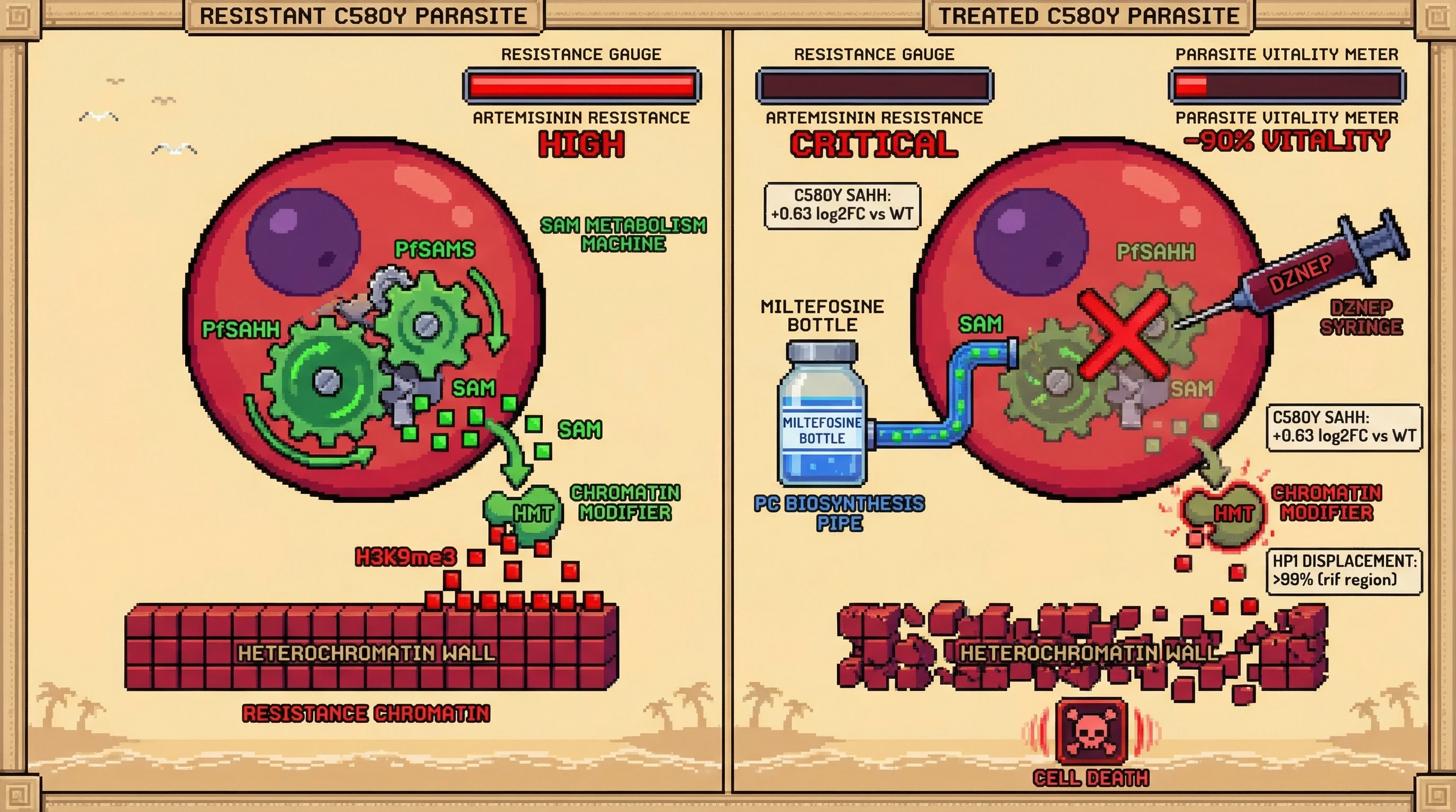 Infographic for: SAM crash combination (miltefosine + DZNep) selectively kills C580Y artemisinin-resistant P. falciparum