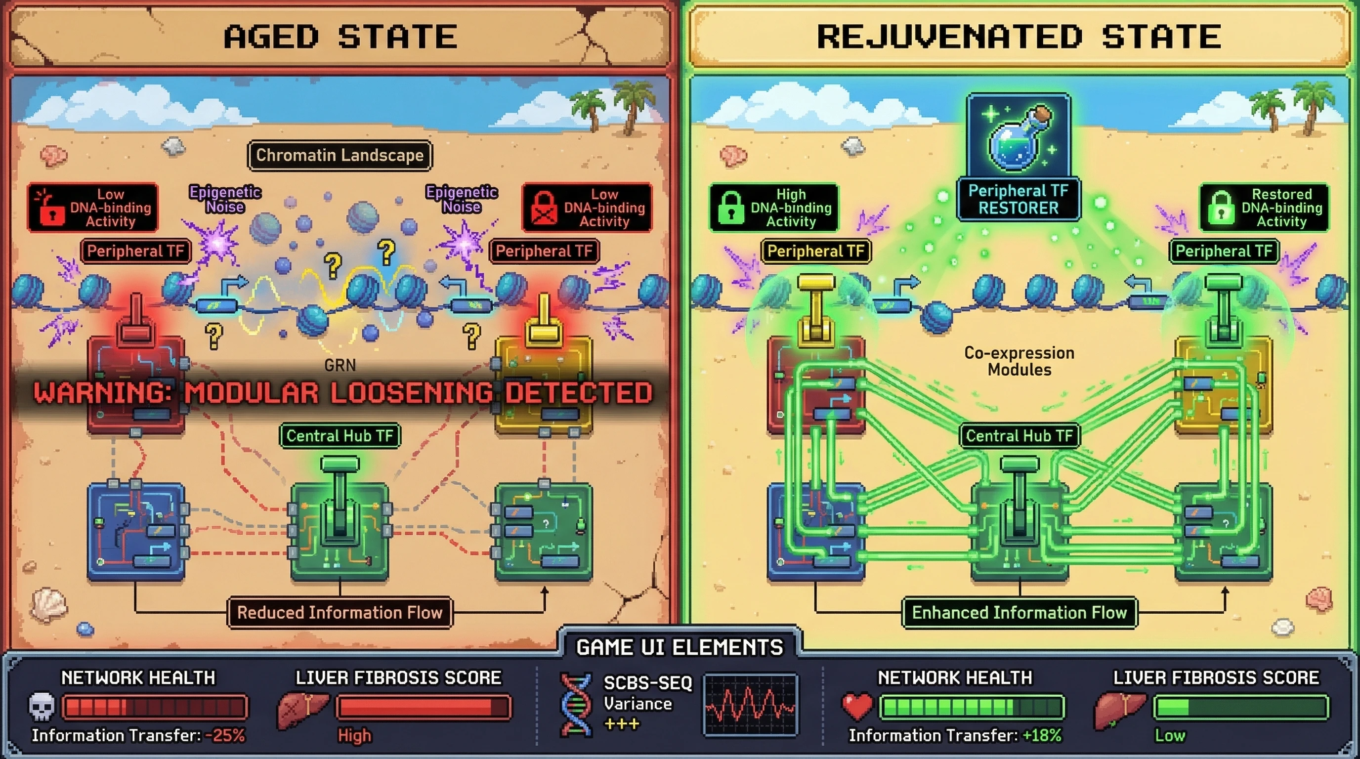 Infographic for: Peripheral TF Silencing by Epigenetic Noise Predicts Modular GRN Loosening and Determines Rescue Efficacy of Master Regulators in Aging