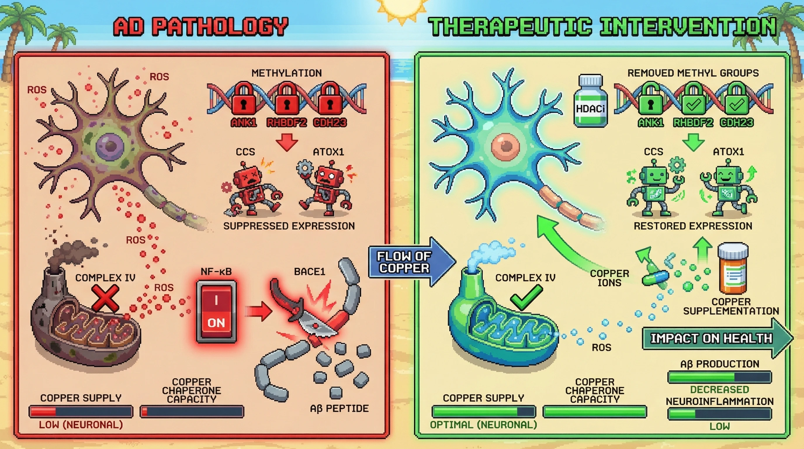 Infographic for: Epigenetic Suppression of Copper Chaperone Networks as the Proximal Driver of Amyloid Overcompensation in Alzheimer's Disease