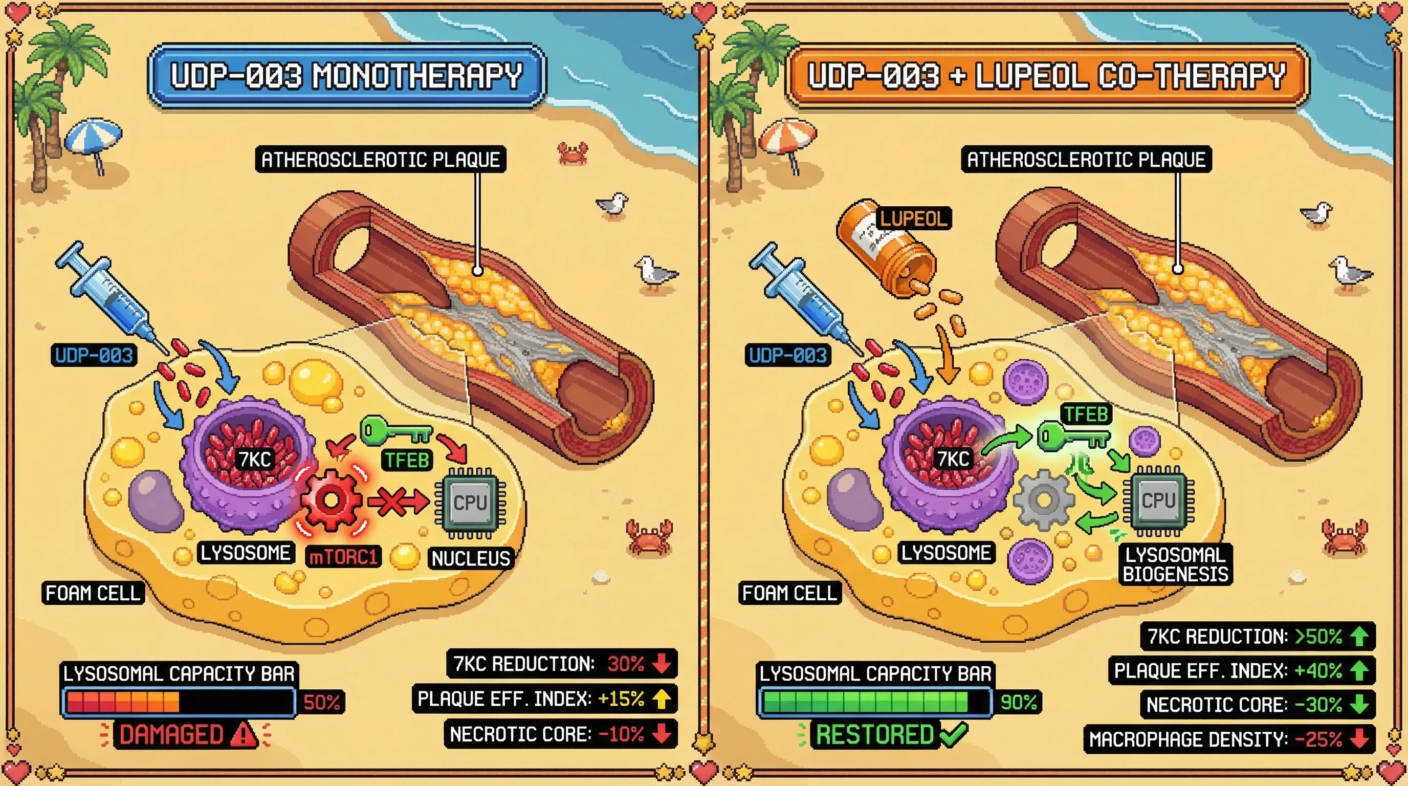 Infographic for: Co-administration of UDP-003 (7KC extractor) and lupeol (TFEB/autophagy activator) achieves synergistic atherosclerot...