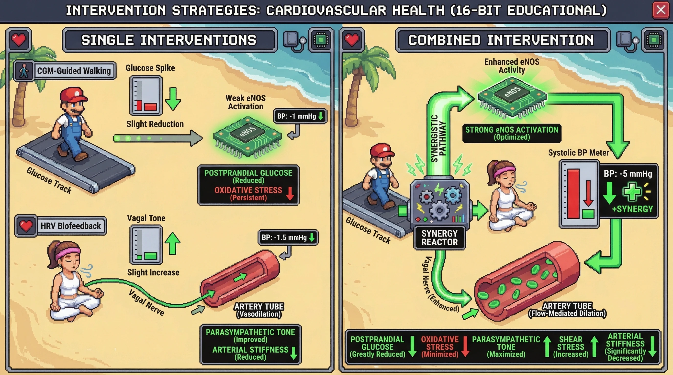 Mechanism: CGM-guided walking reduces glucose spikes and oxidative stress, while HRV biofeedback boosts vagal tone and shear stress, synergistically improving eNOS activity and vasodilation. Readout: Readout: The combined intervention leads to a substantial 5 mmHg reduction in systolic blood pressure, significantly more than single interventions.