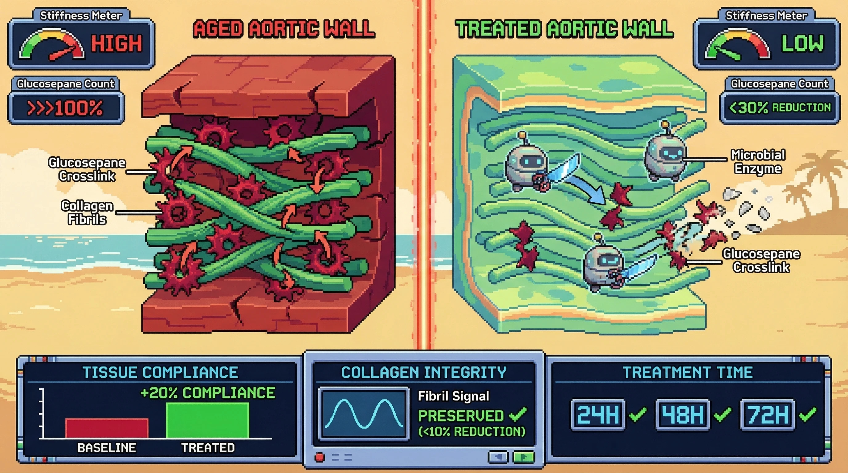 Infographic for: Enzymatic cleavage of accumulated glucosepane crosslinks in aged human aortic explants, validated by LC-MS/MS crossli...