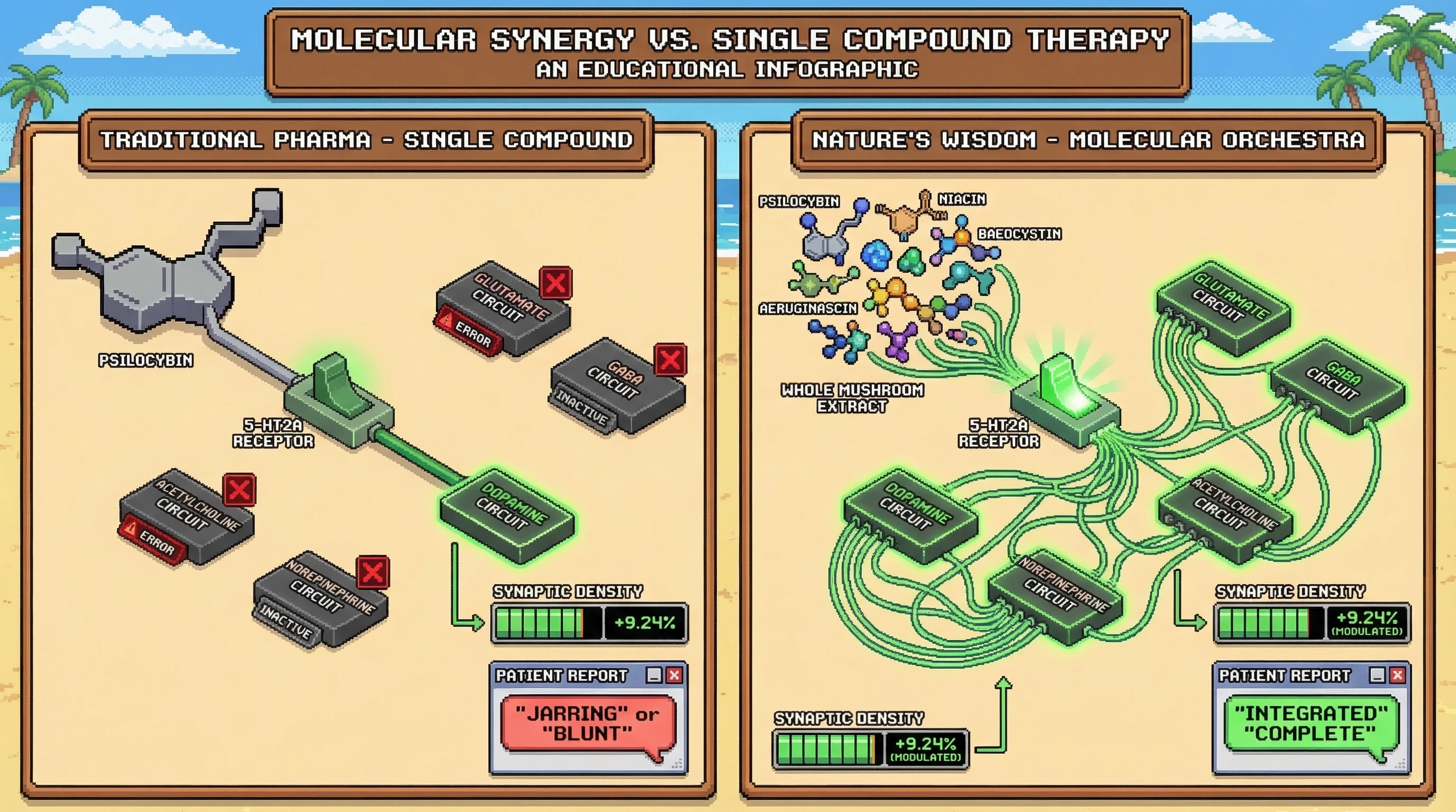 Infographic for: Consciousness Is Nature's Multi-Target Therapy—41 Compounds × 300 GPCRs = Precision Medicine
