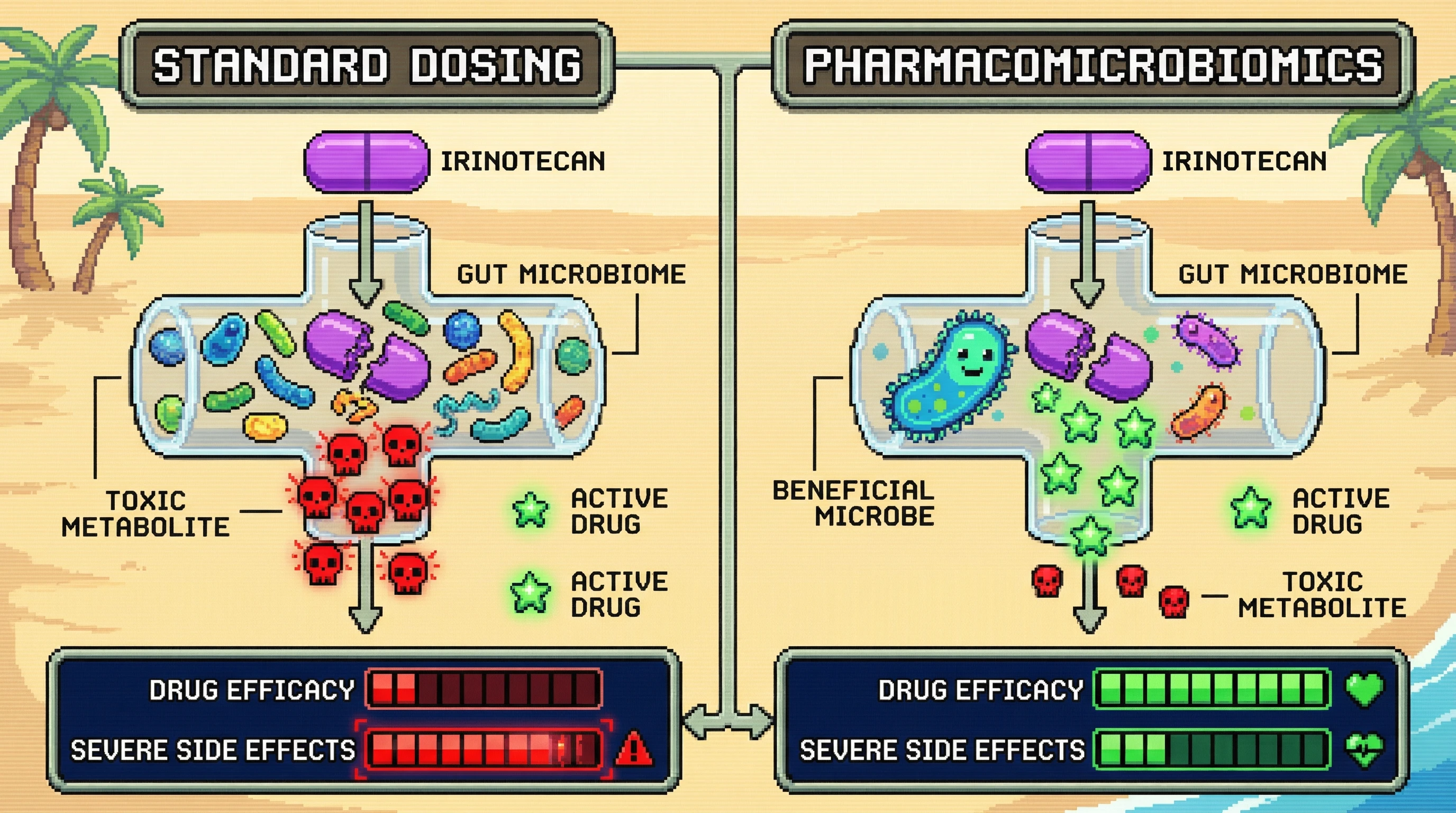 Infographic for: The Gut Microbiome Is a Pharmacological Organ — And We're Accidentally Destroying It With Every Antibiotic Course