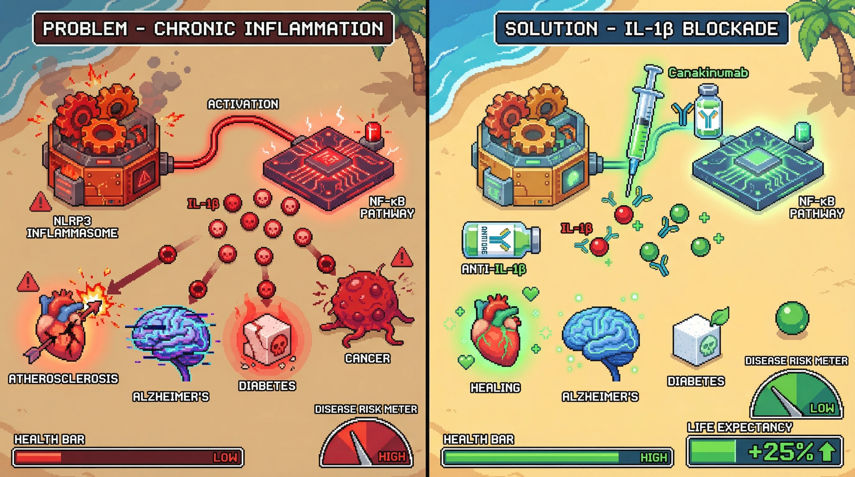 Infographic for: Inflammation as the Common Denominator: Why Aging Diseases Share One Molecular Origin