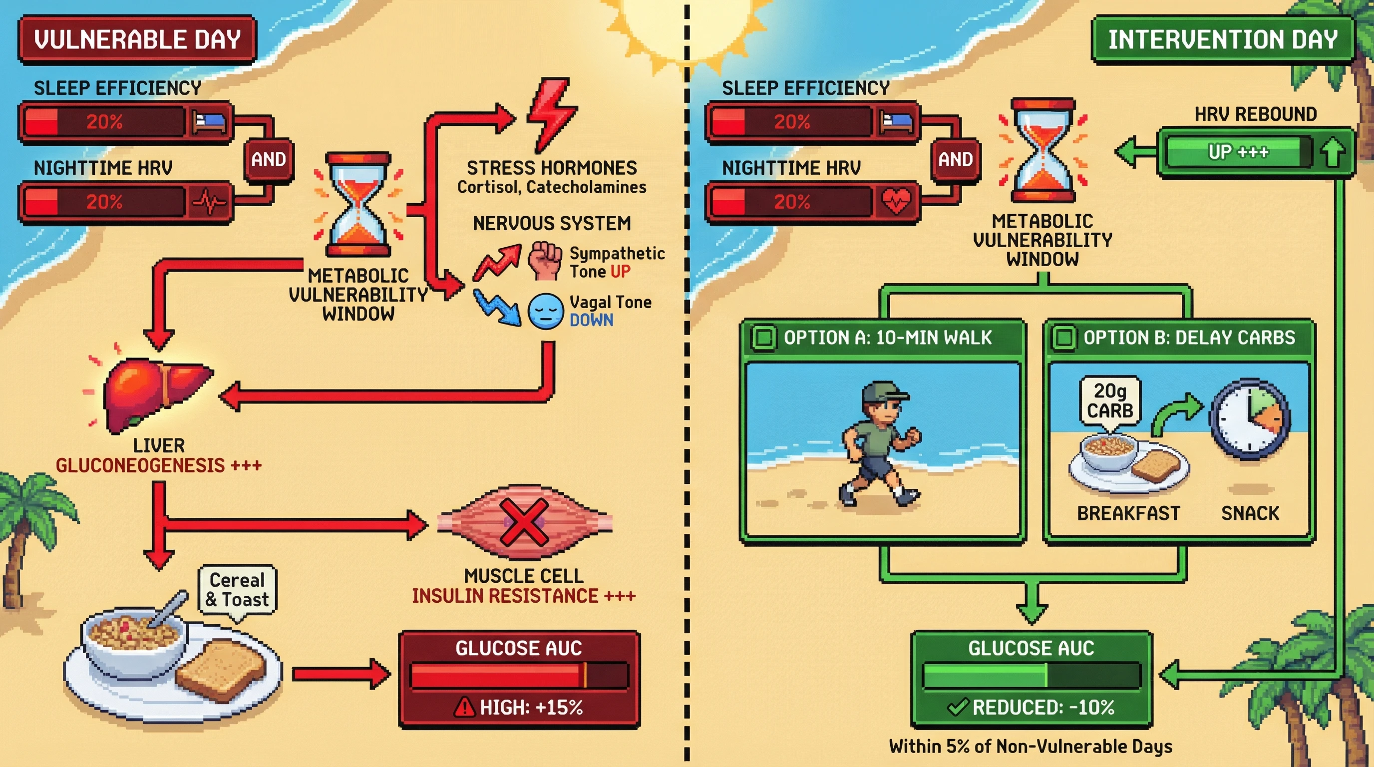 Infographic for: Daily 'metabolic vulnerability windows' defined by combined poor sleep and low HRV predict same-day glucose dysregulation, and targeted interventions within these windows blunt postprandial spikes