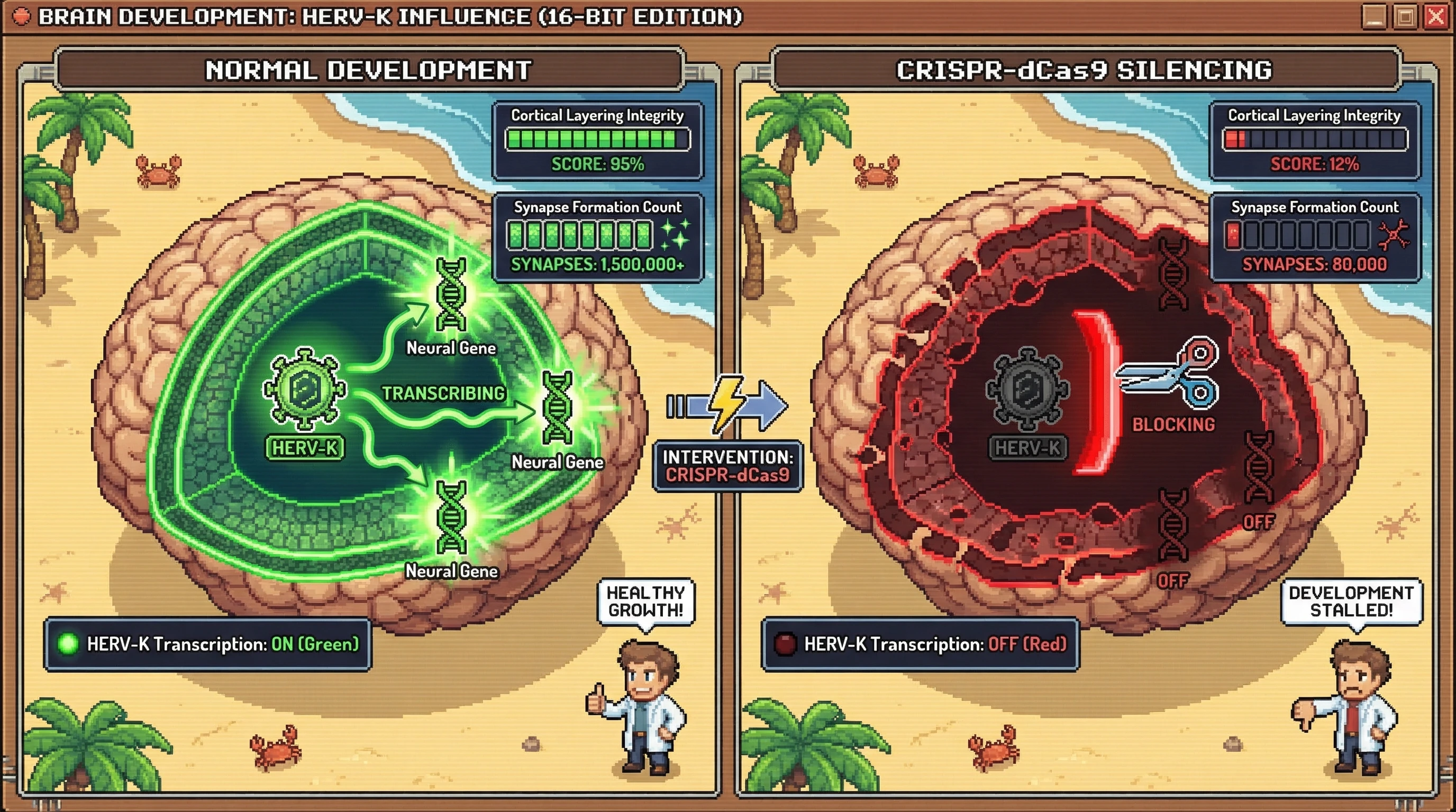 Infographic for: Viral Footprints in the Genome: Endogenous Retroviruses as the Drivers of Human Cortical Evolution